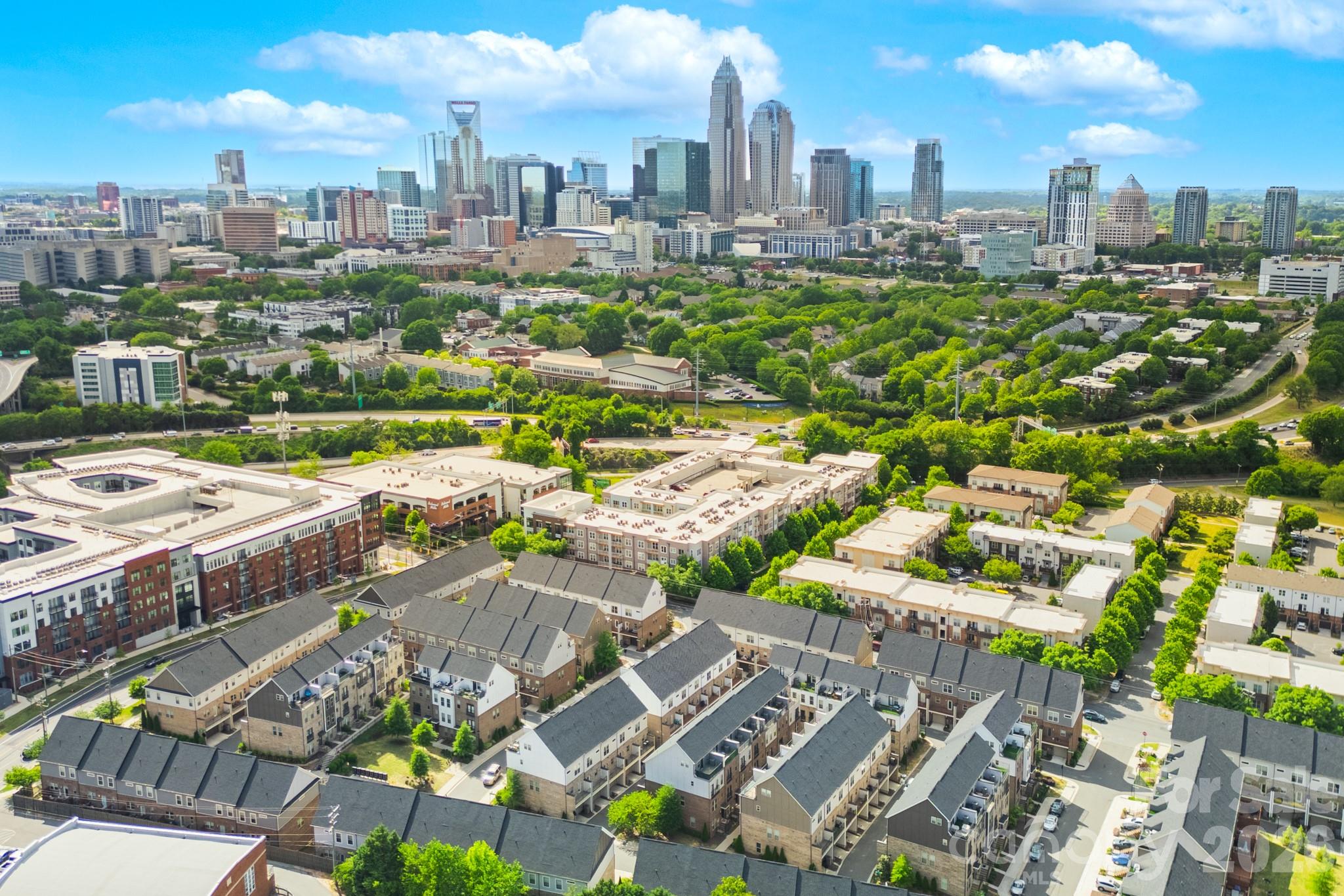 15036 New Amsterdam Lane — Charlotte