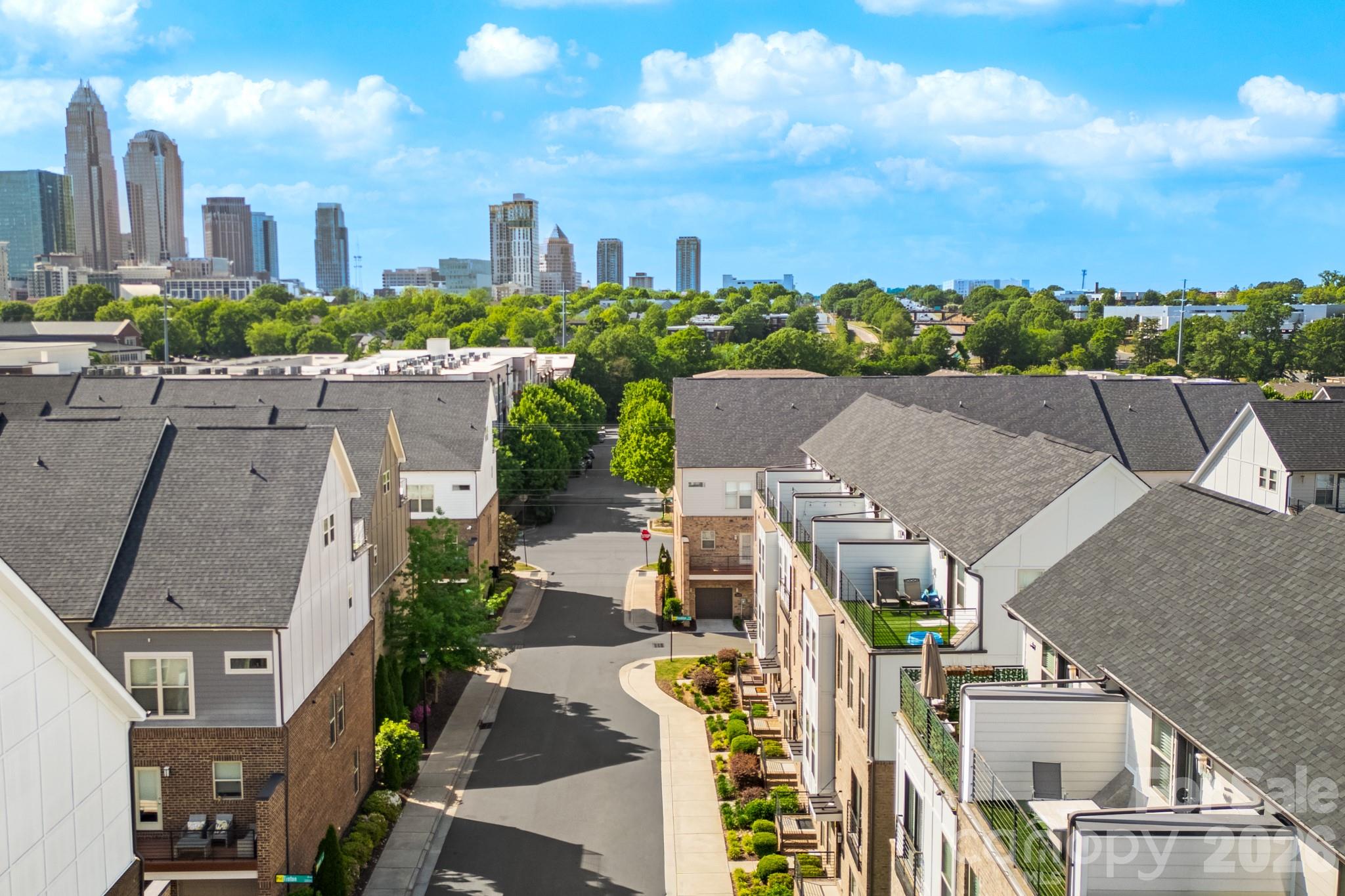15036 New Amsterdam Lane — Charlotte