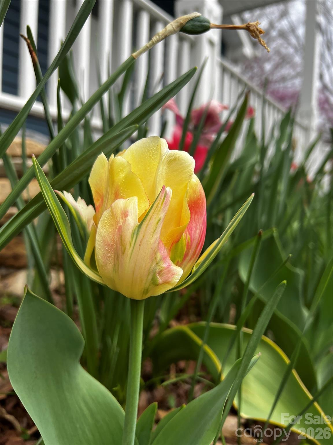 29 White Oak Road — Arden