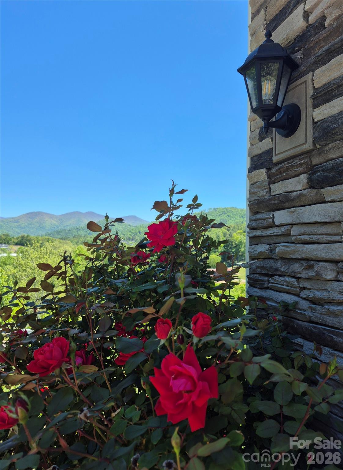 141 Amblers Knoll Road — Weaverville