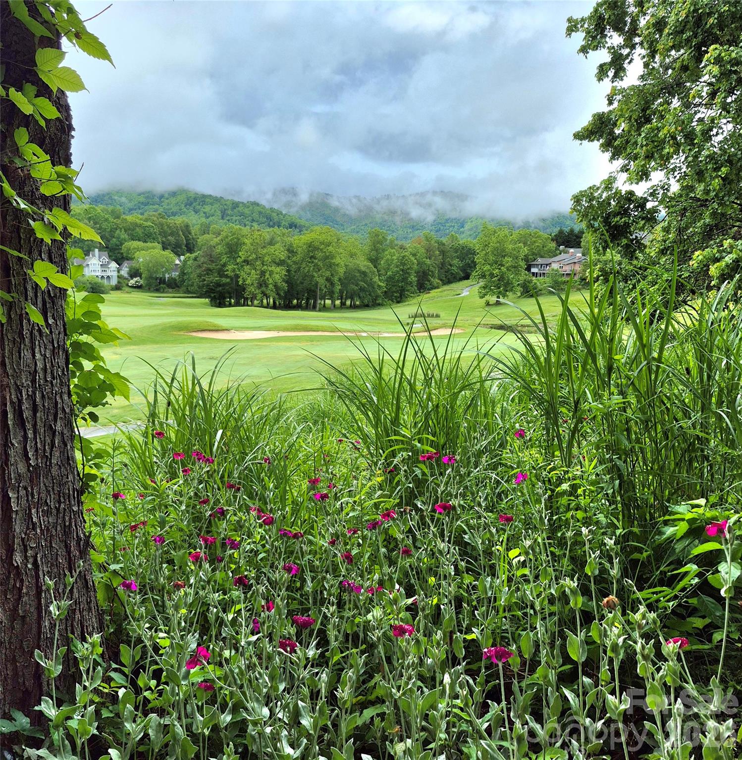 141 Amblers Knoll Road — Weaverville