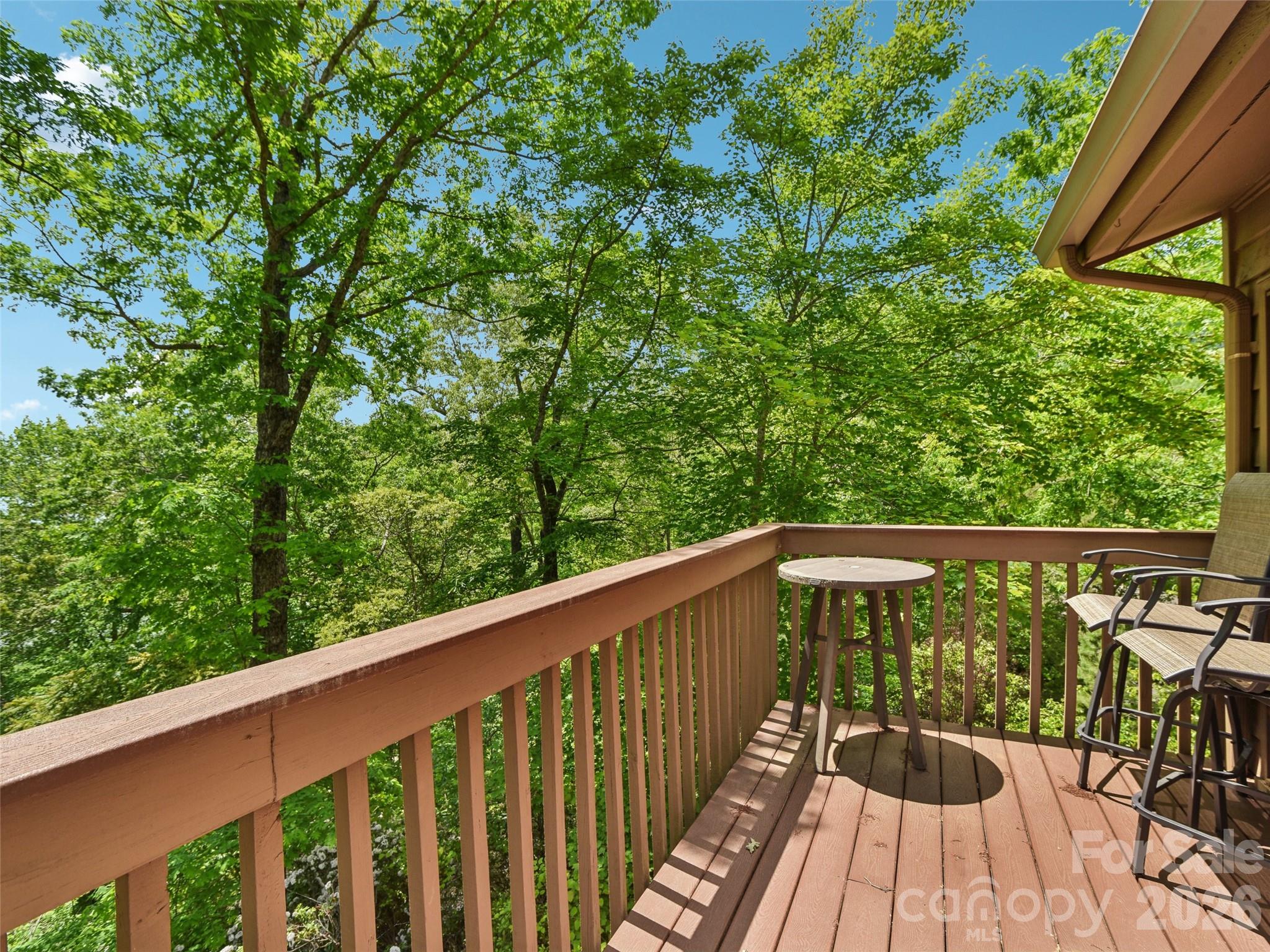 155 Quail Cove Boulevard #1601 — Lake Lure