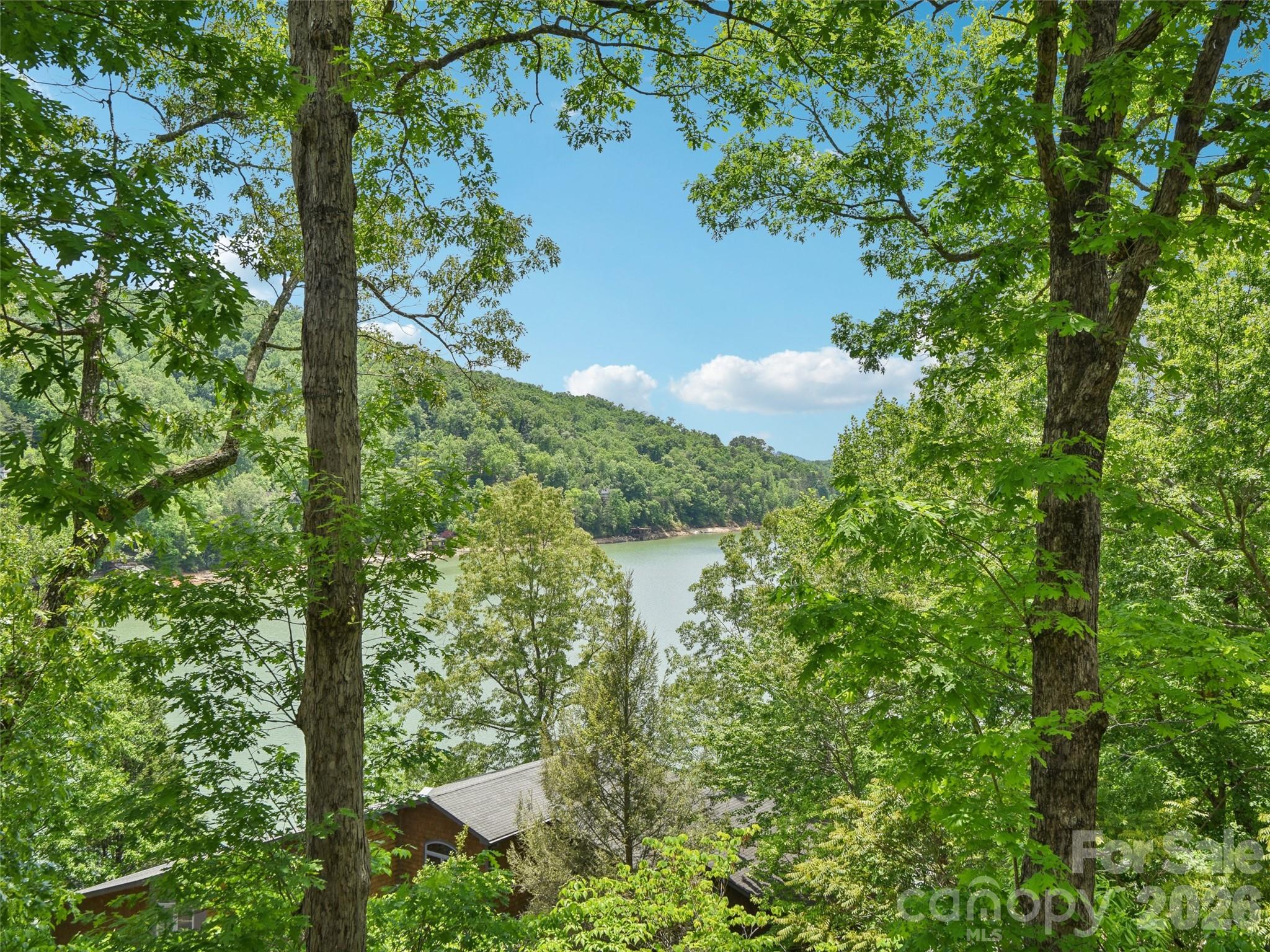 155 Quail Cove Boulevard #1601 — Lake Lure