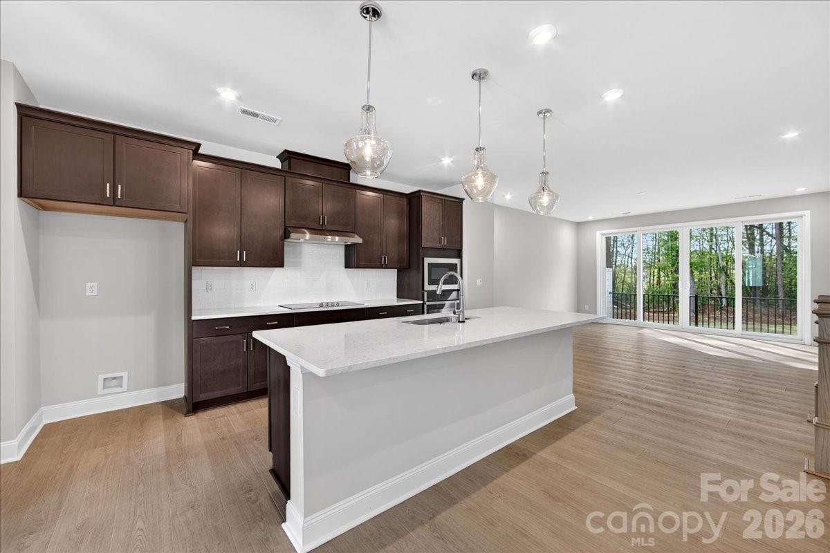 7933 Cedarsmith Court — Charlotte