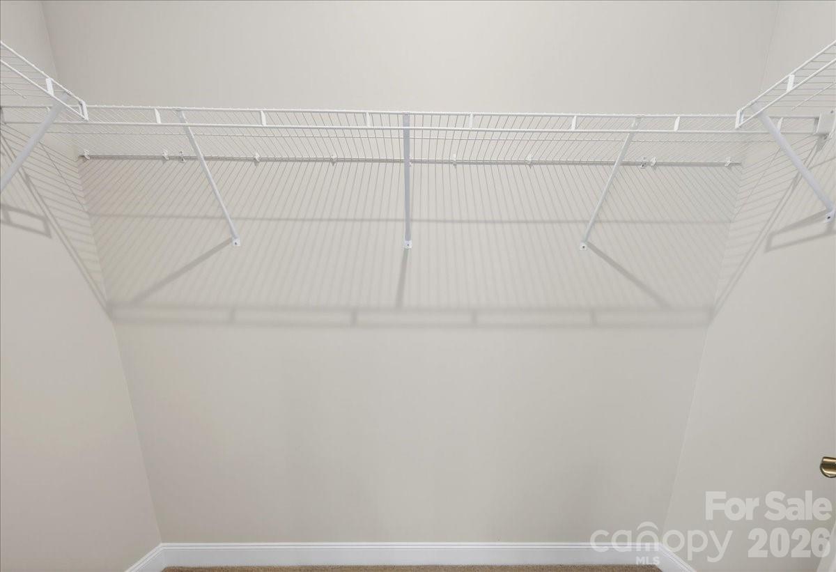 7933 Cedarsmith Court — Charlotte