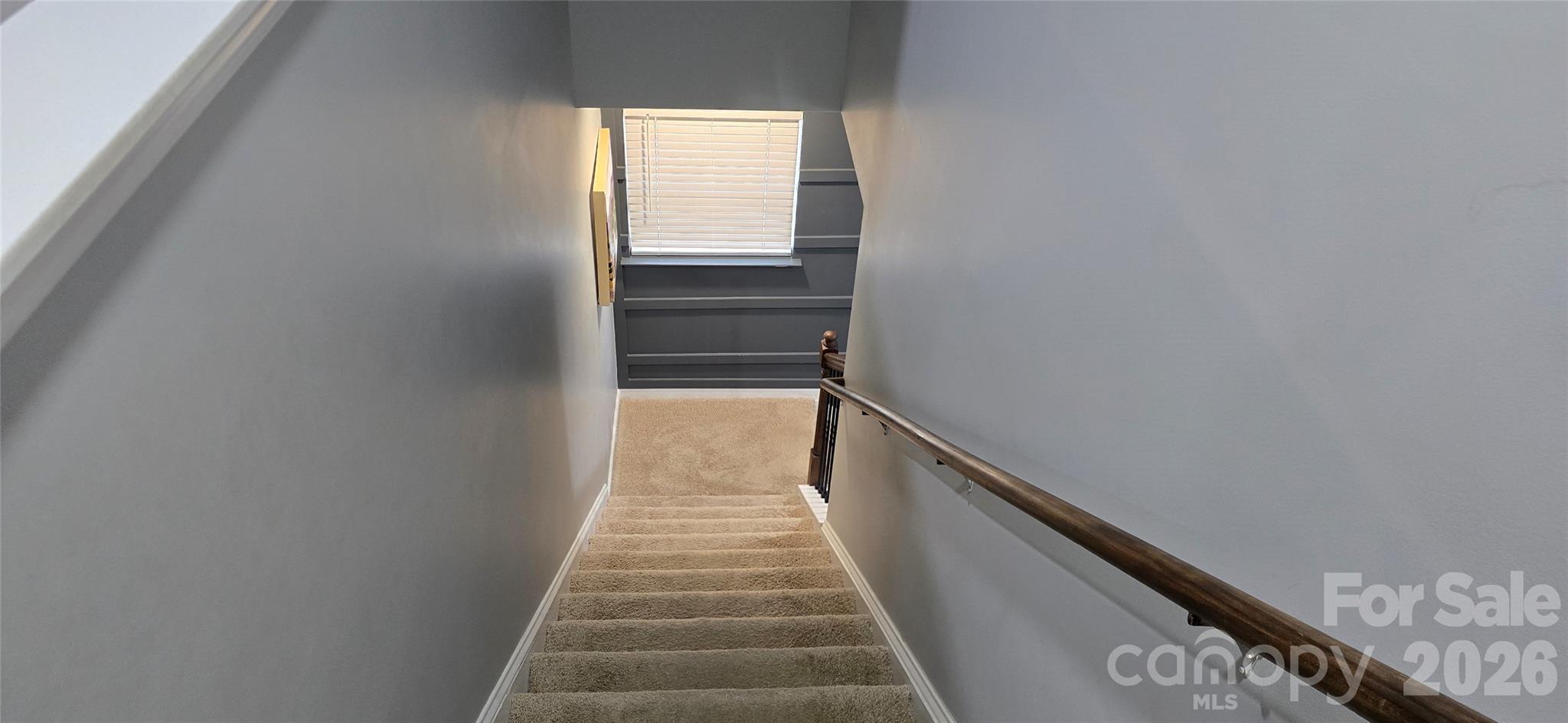 114 Wildflower Drive — Locust