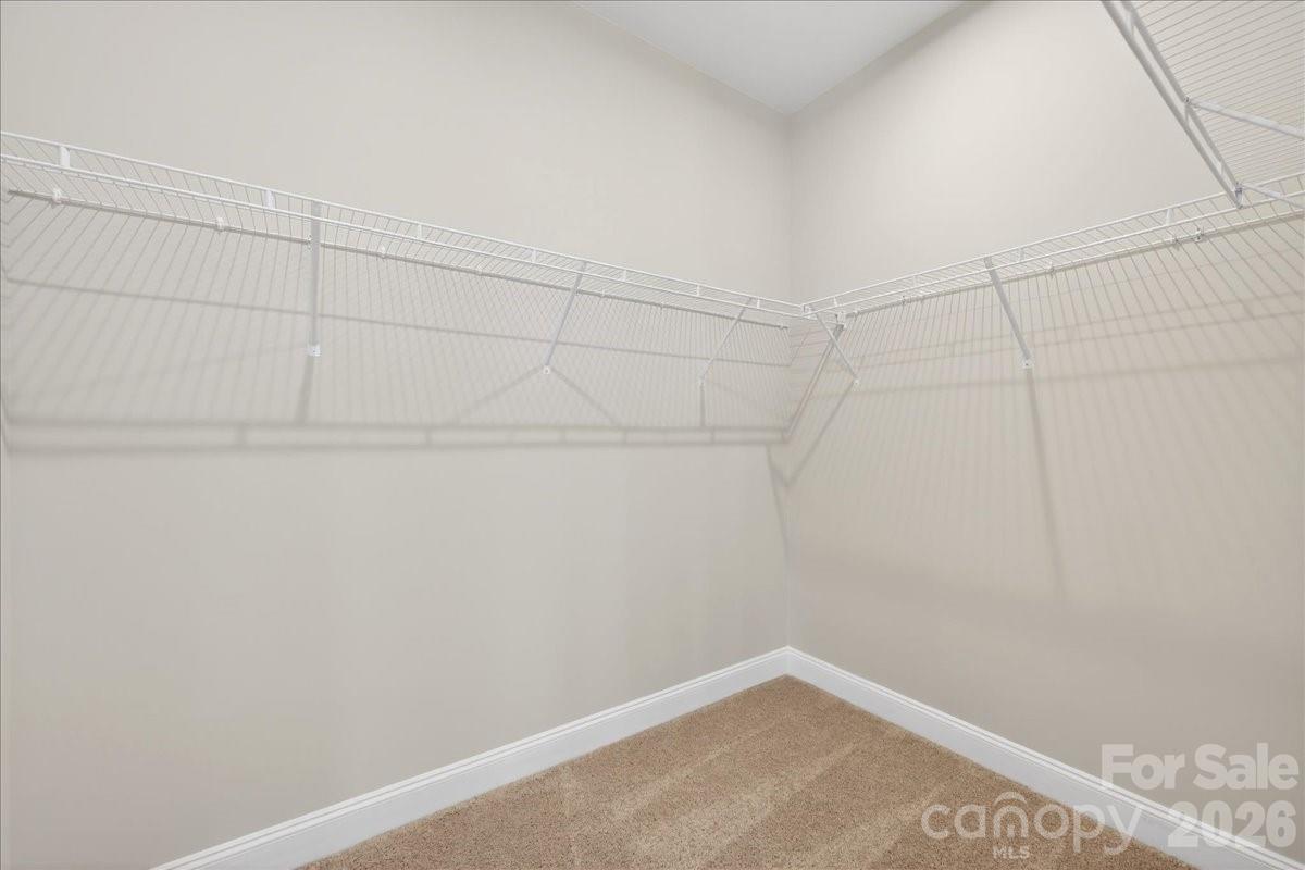 7929 Cedarsmith Court — Charlotte
