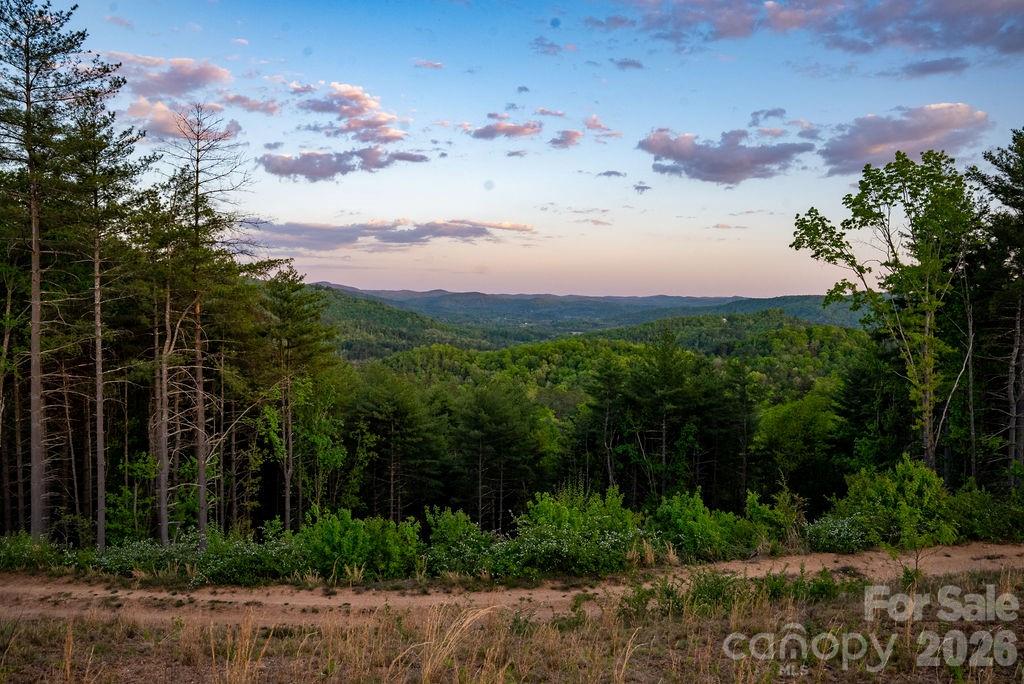 4454 Asheville Highway — Pisgah Forest