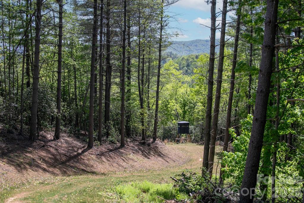 4454 Asheville Highway — Pisgah Forest