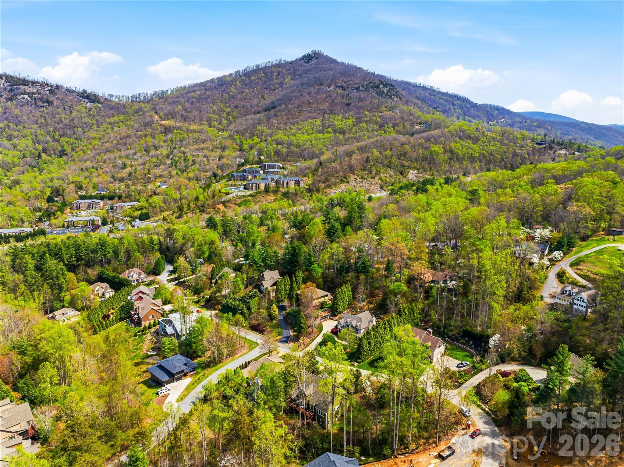 61 Village Pointe Lane — Asheville