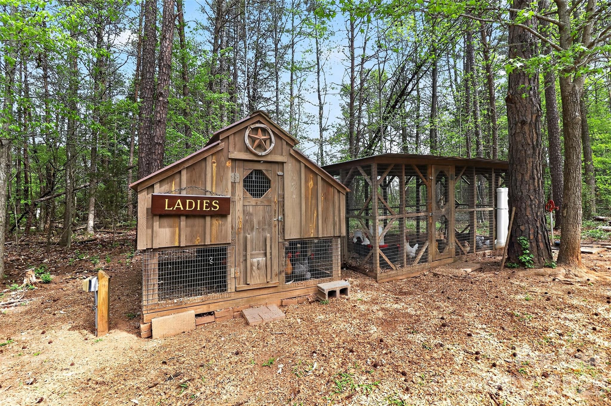 155 Amity Church Road — Iron Station