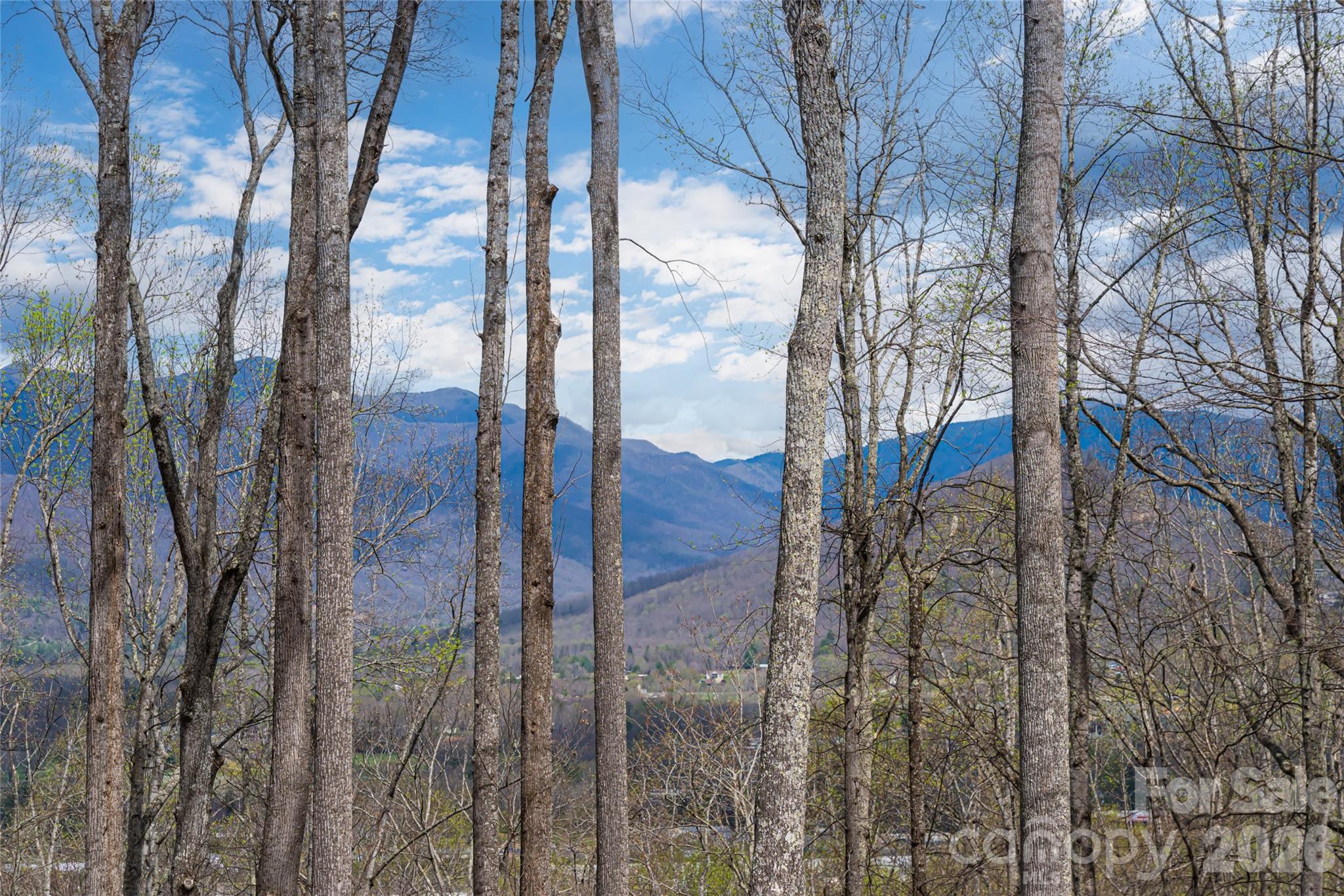 51 Summit Road — Swannanoa