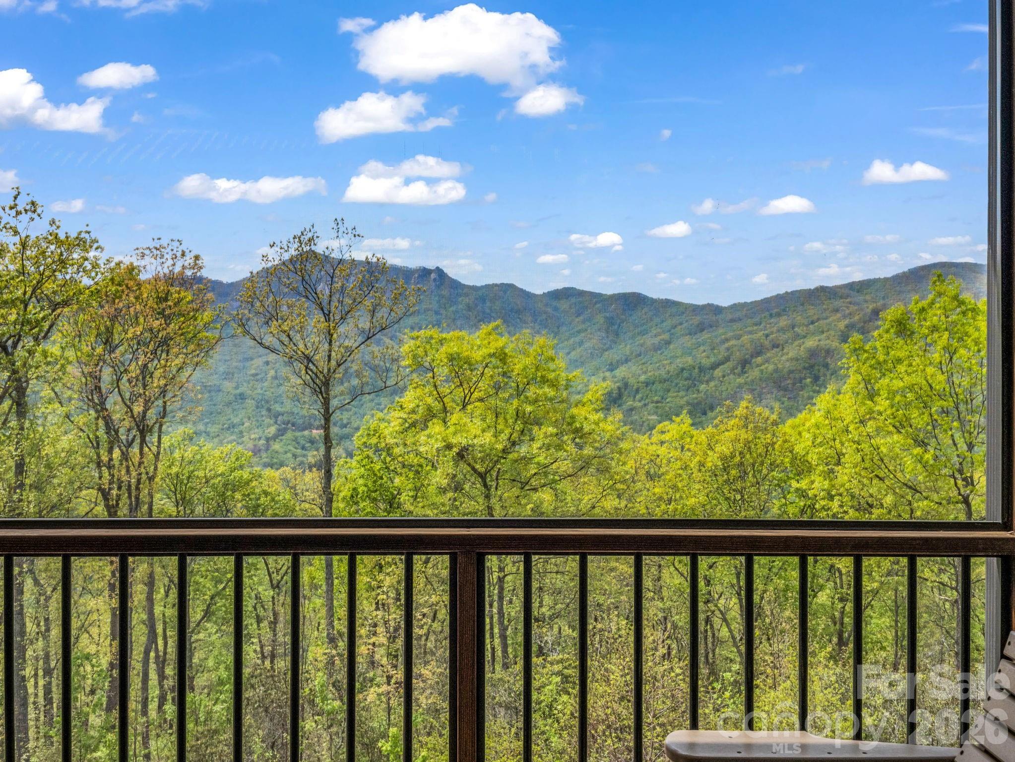 189 Tatanka Trail — Lake Lure