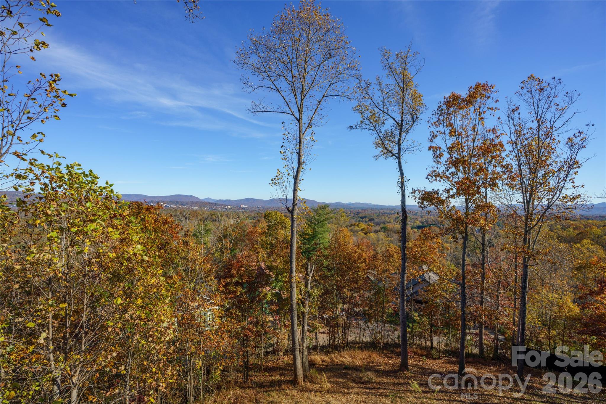 41 Ben Lippen School Road — Asheville