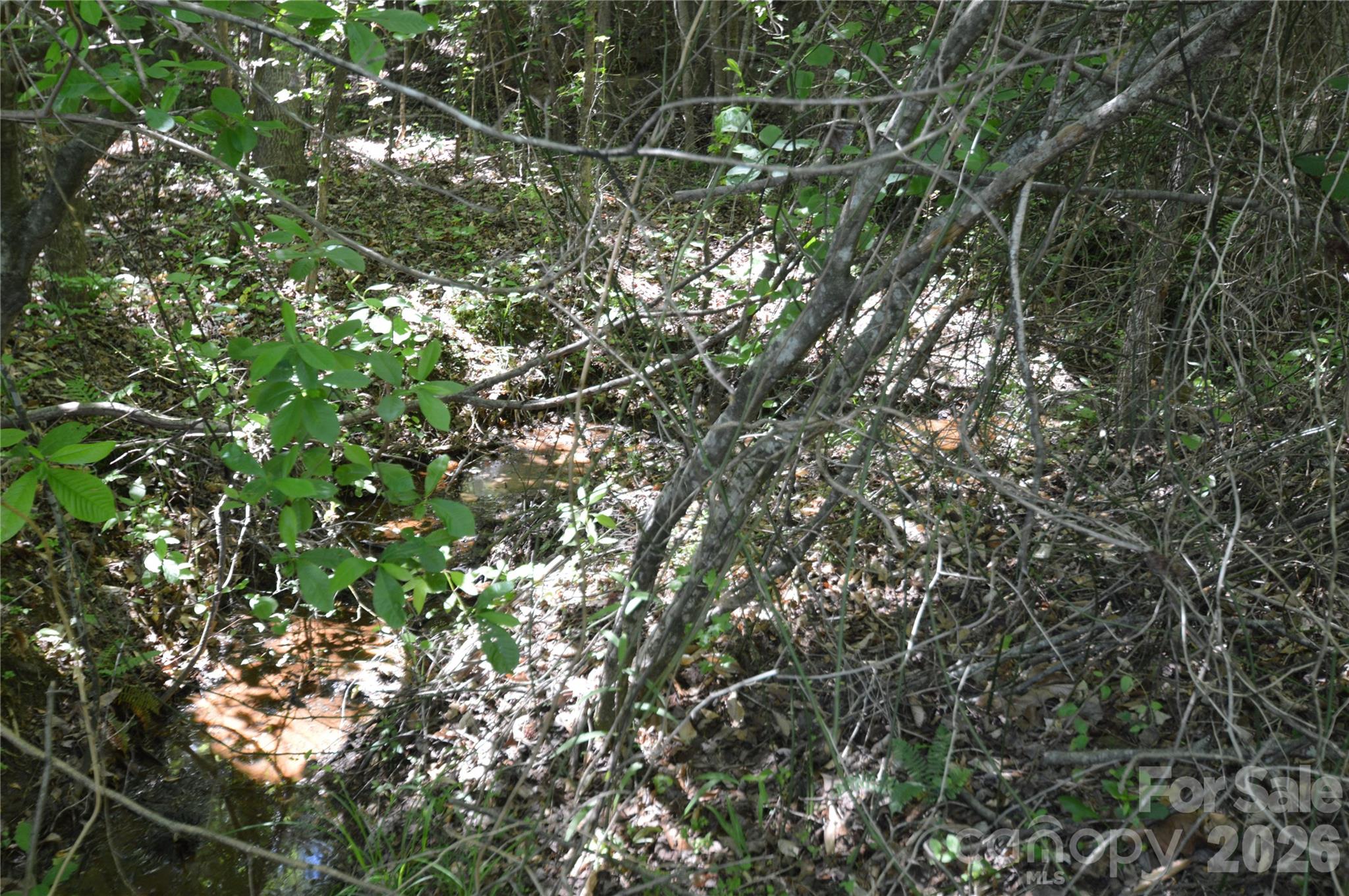 2500 S Blackstock Road — Landrum
