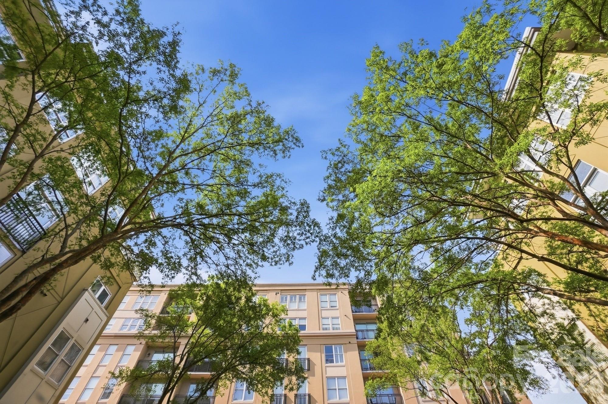 1320 Fillmore Avenue #403 — Charlotte