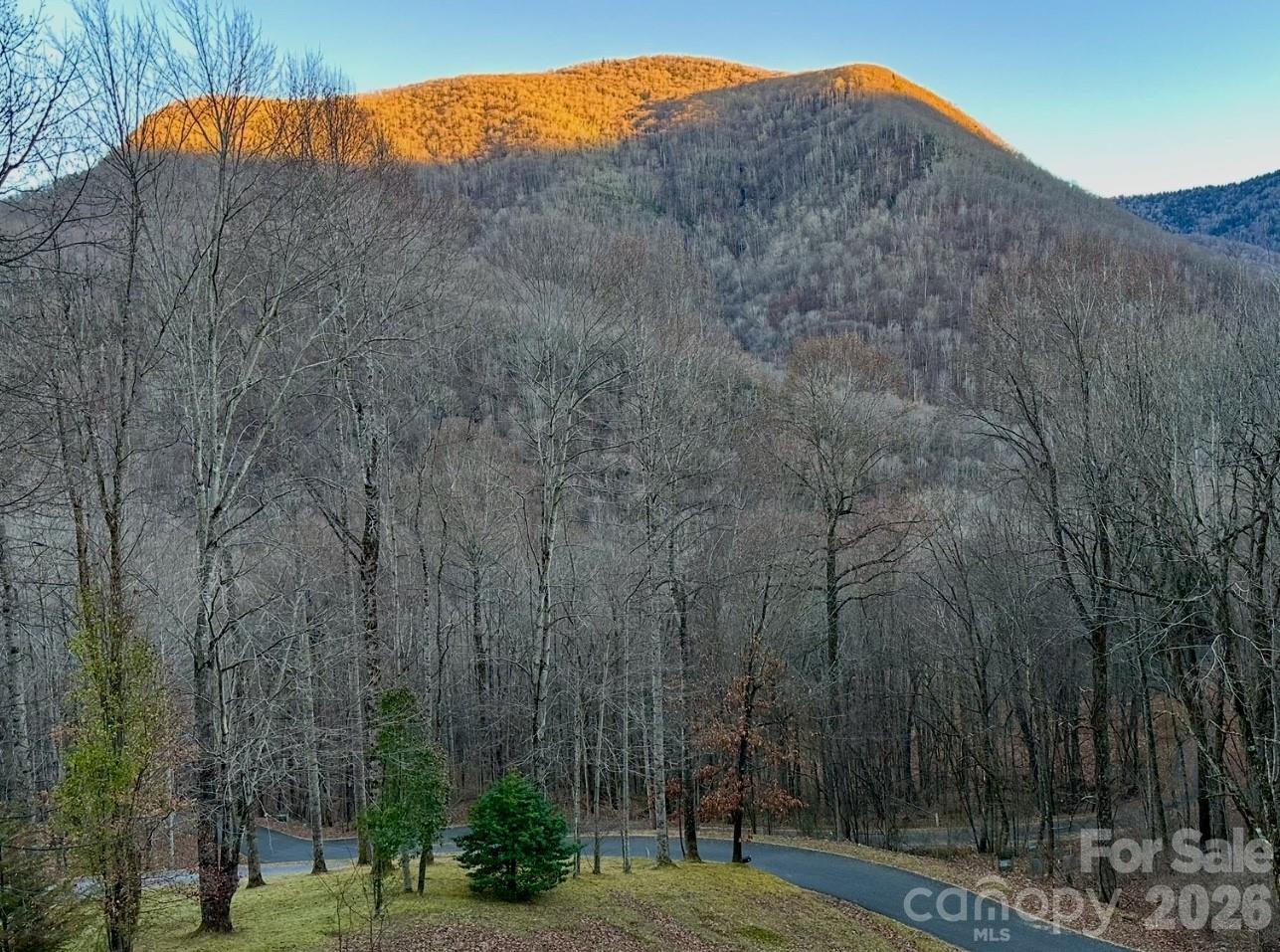 302 Davy Crockett Drive — Maggie Valley