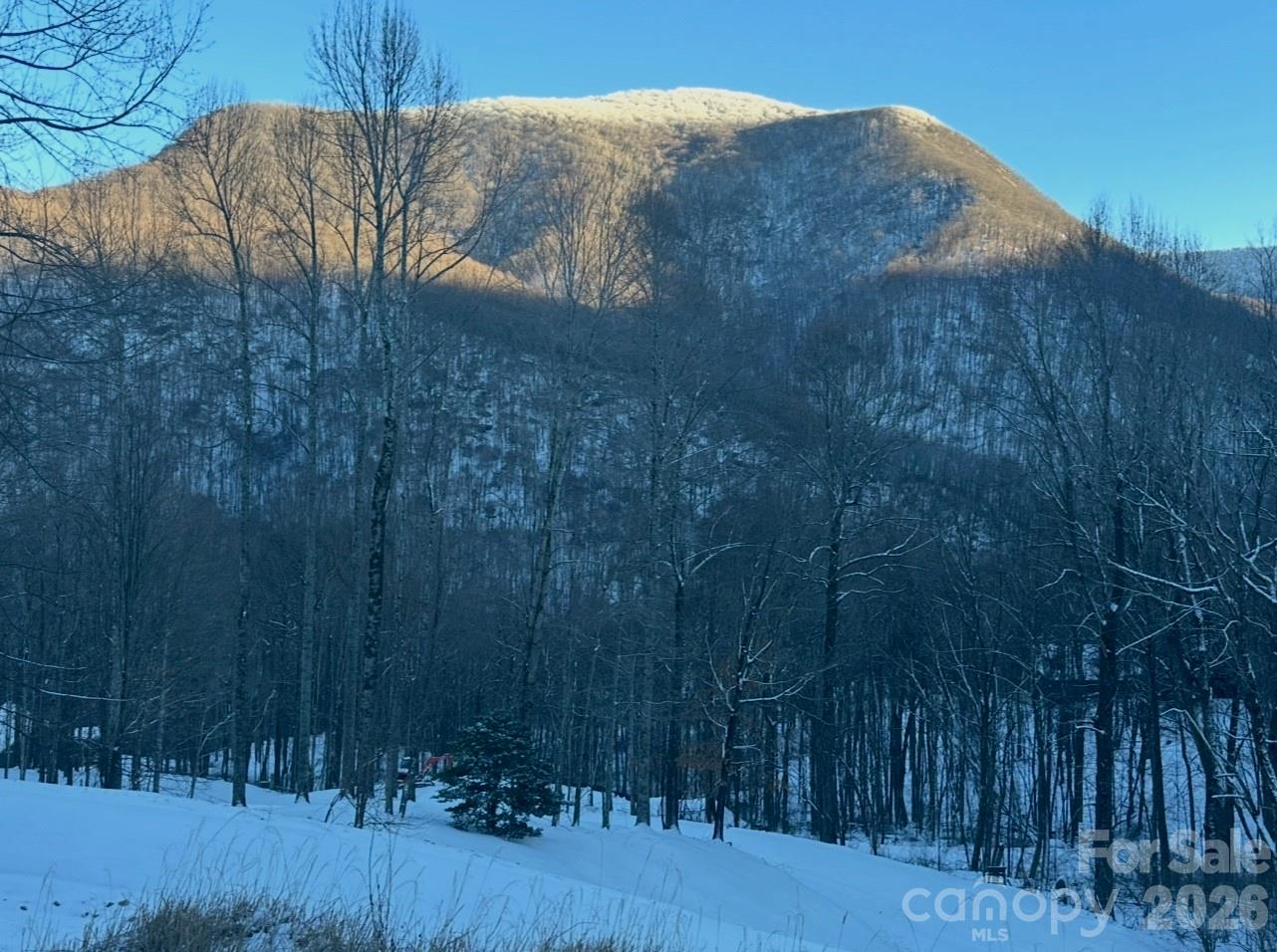 302 Davy Crockett Drive — Maggie Valley