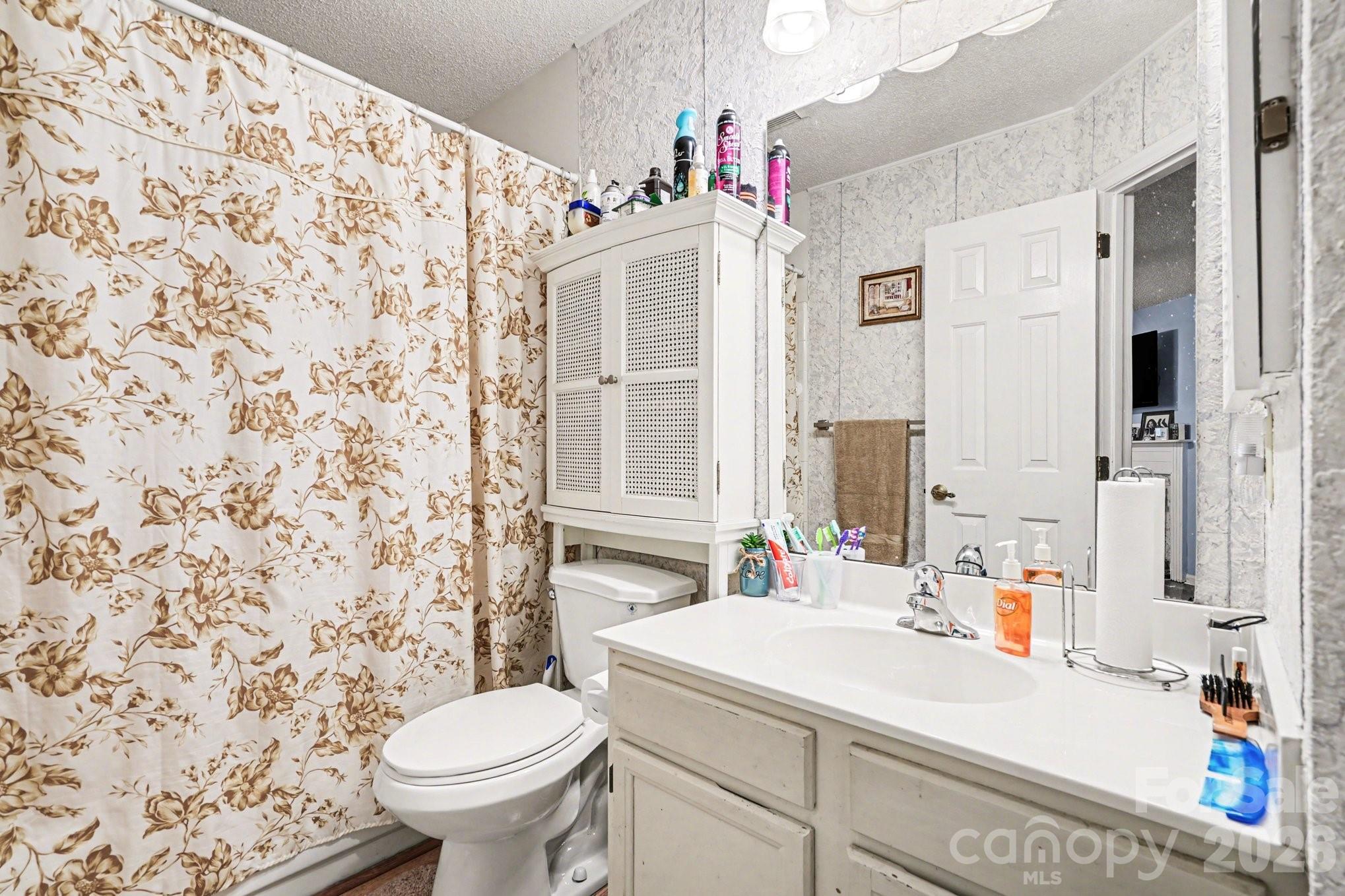 5813 Amity Springs Drive — Charlotte