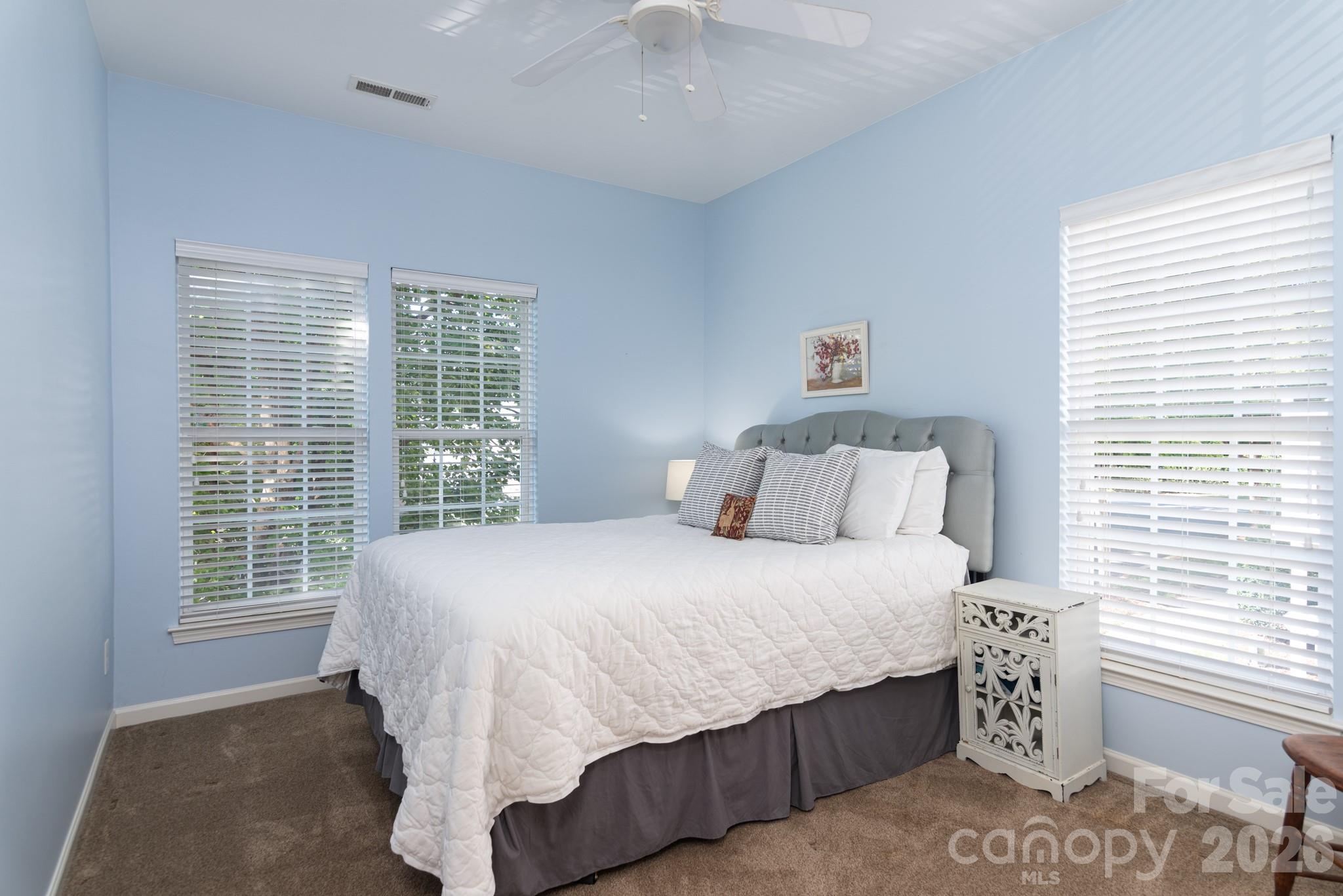 438 Magnolia Street — Davidson