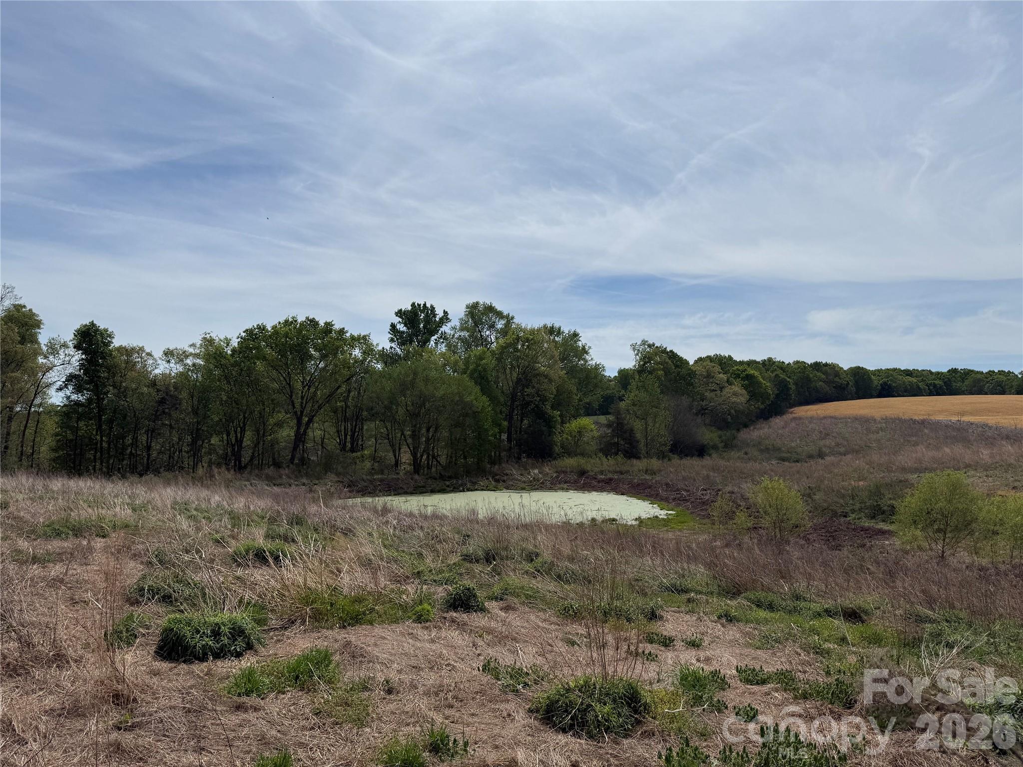 1601 Olive Branch Road — Polkton