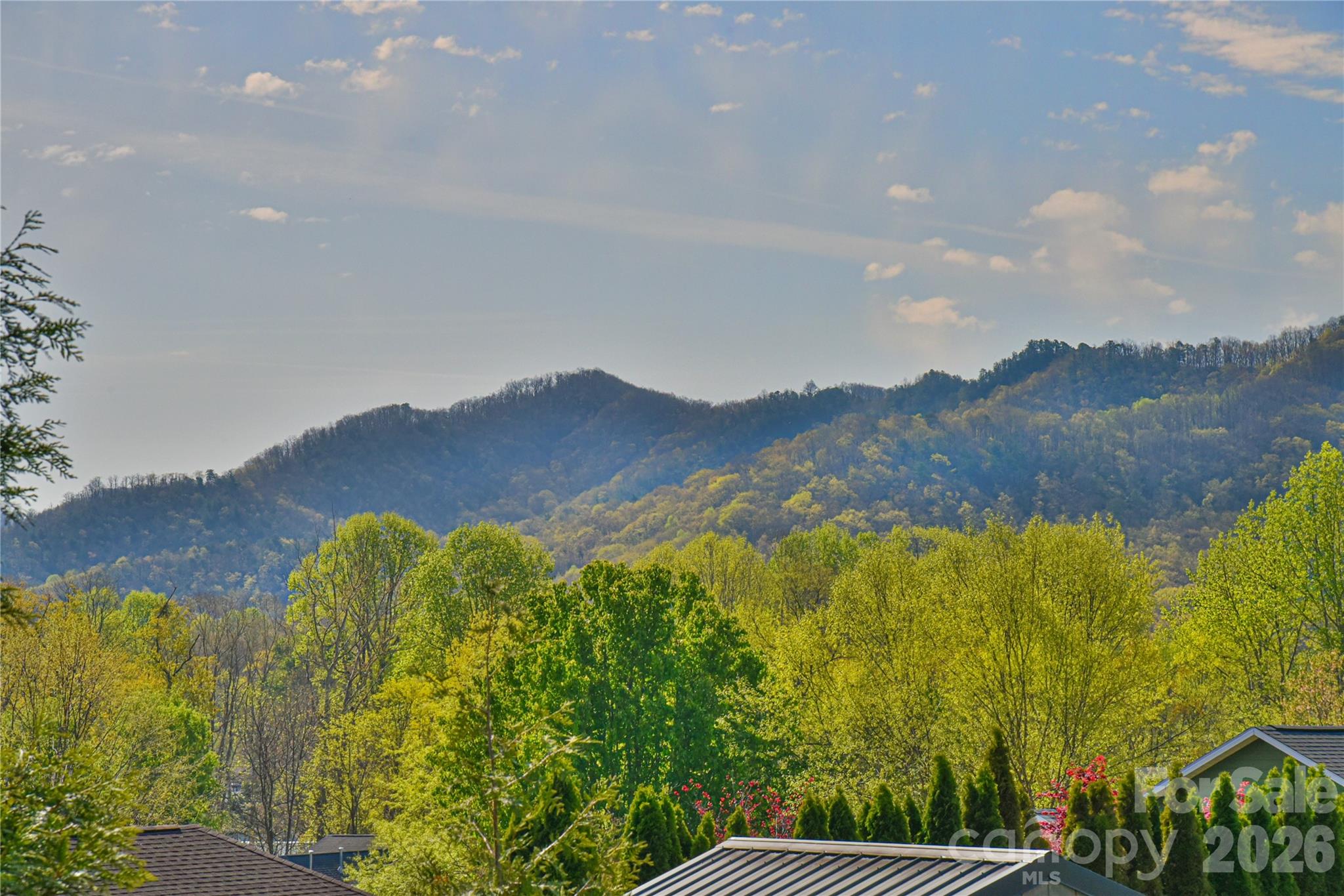 310 Portmanvilla Road — Black Mountain