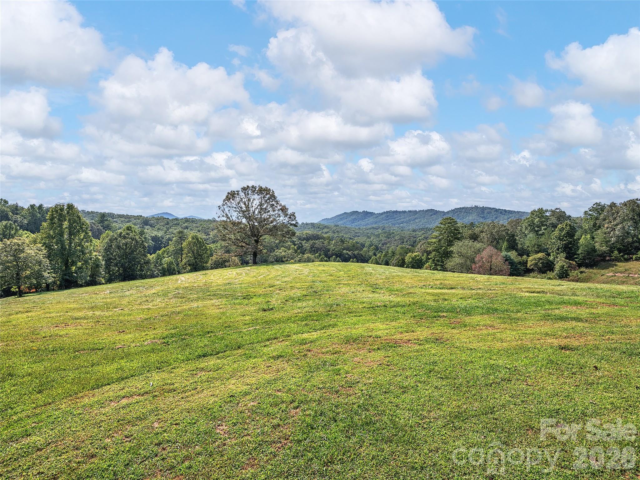 4546 Pine Log Road — Brasstown