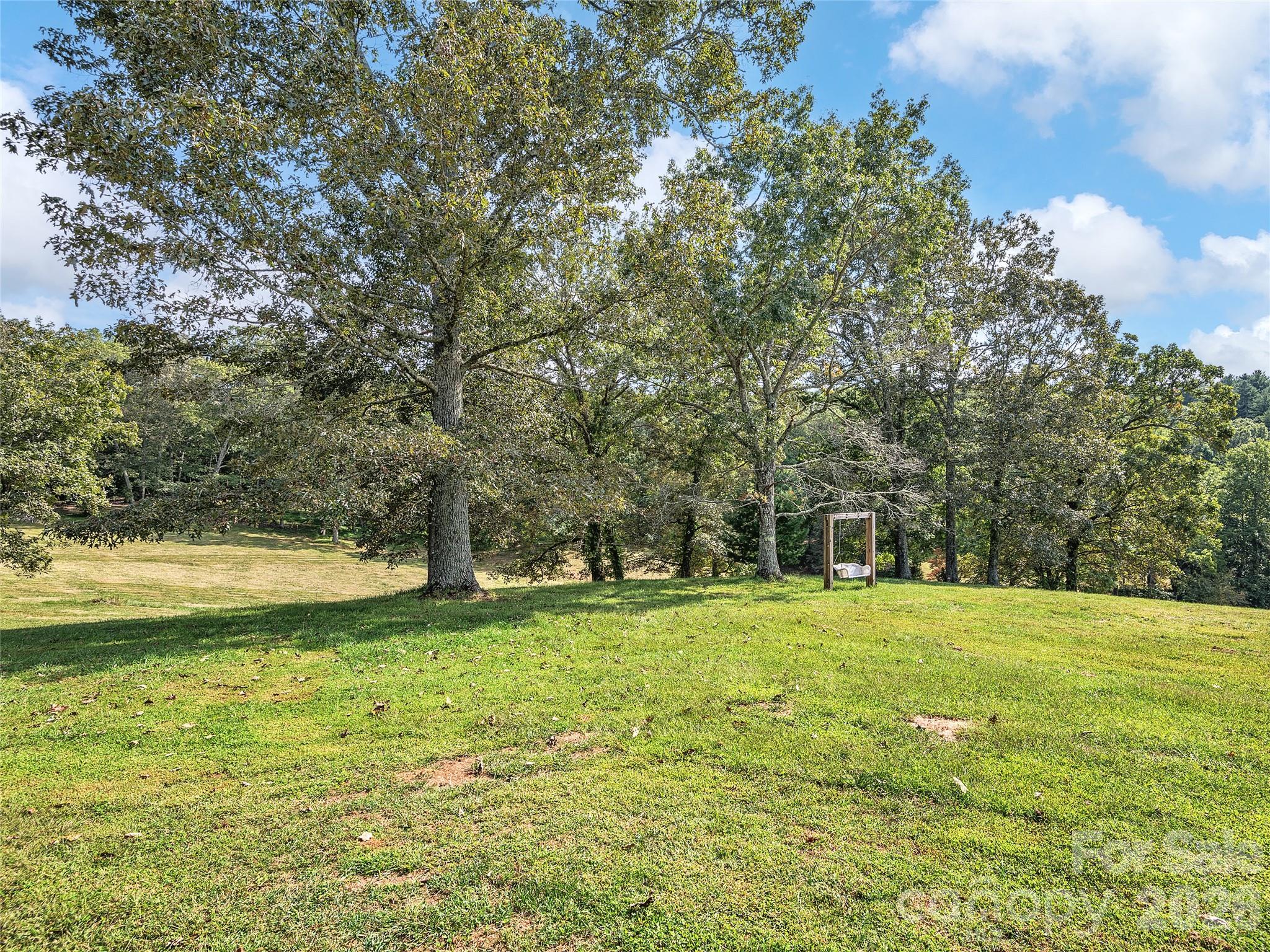4546 Pine Log Road — Brasstown