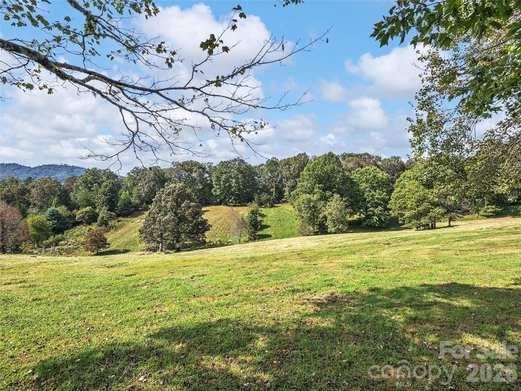 4546 Pine Log Road — Brasstown