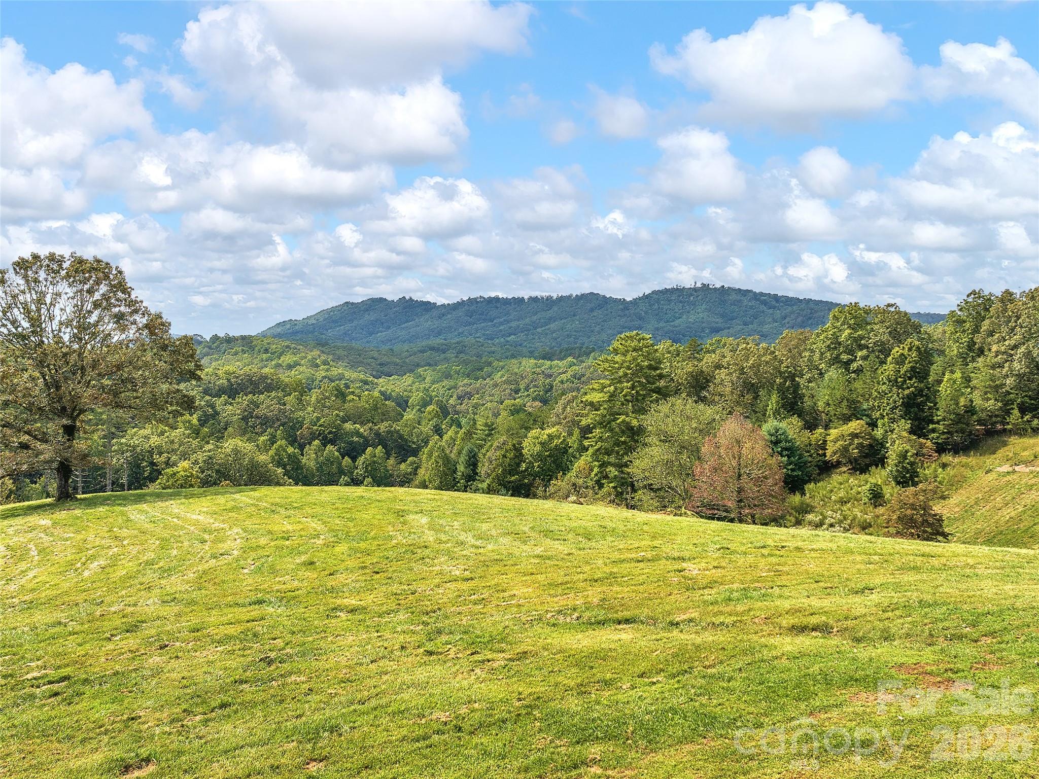 4546 Pine Log Road — Brasstown
