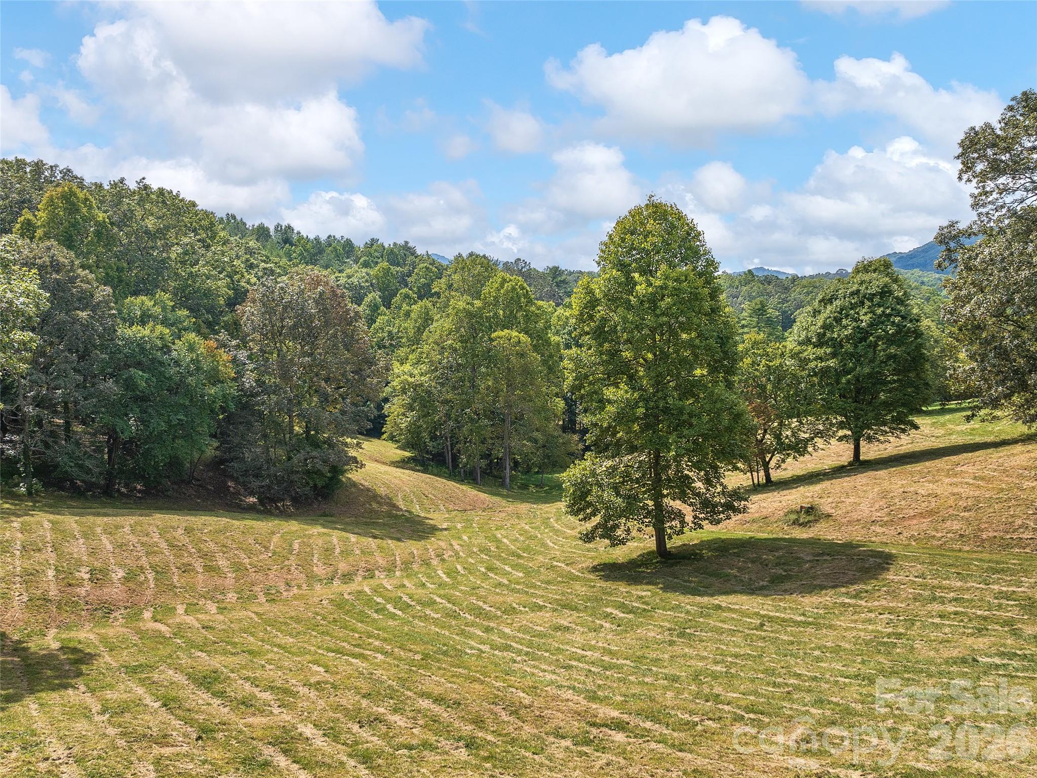 4546 Pine Log Road — Brasstown