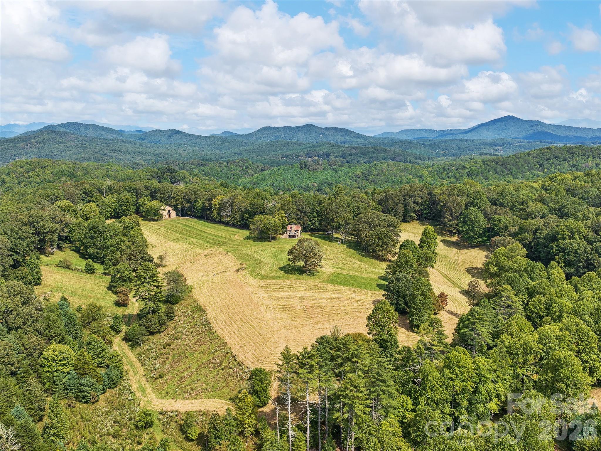4546 Pine Log Road — Brasstown