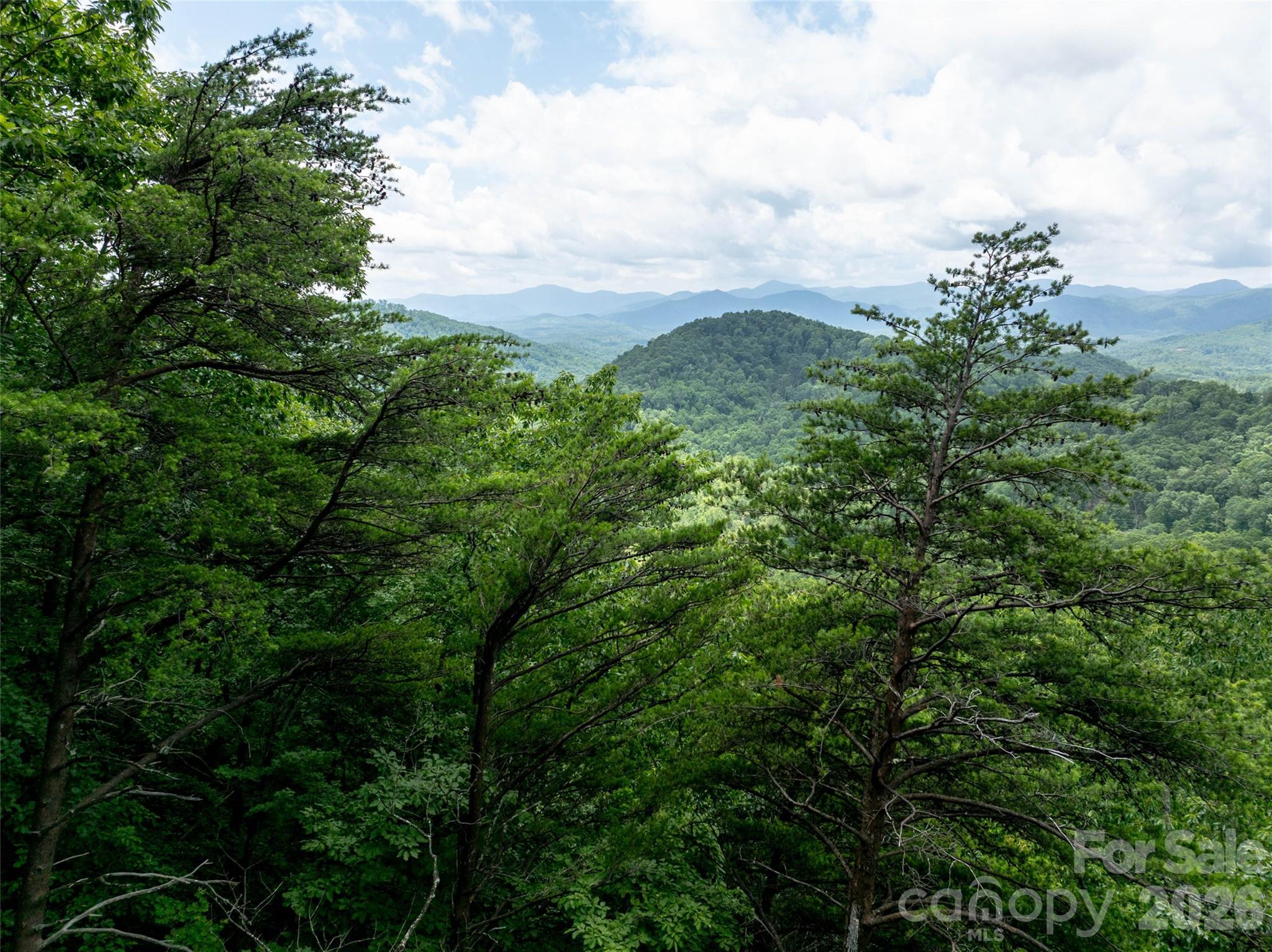 309 Doubleview Drive — Union Mills