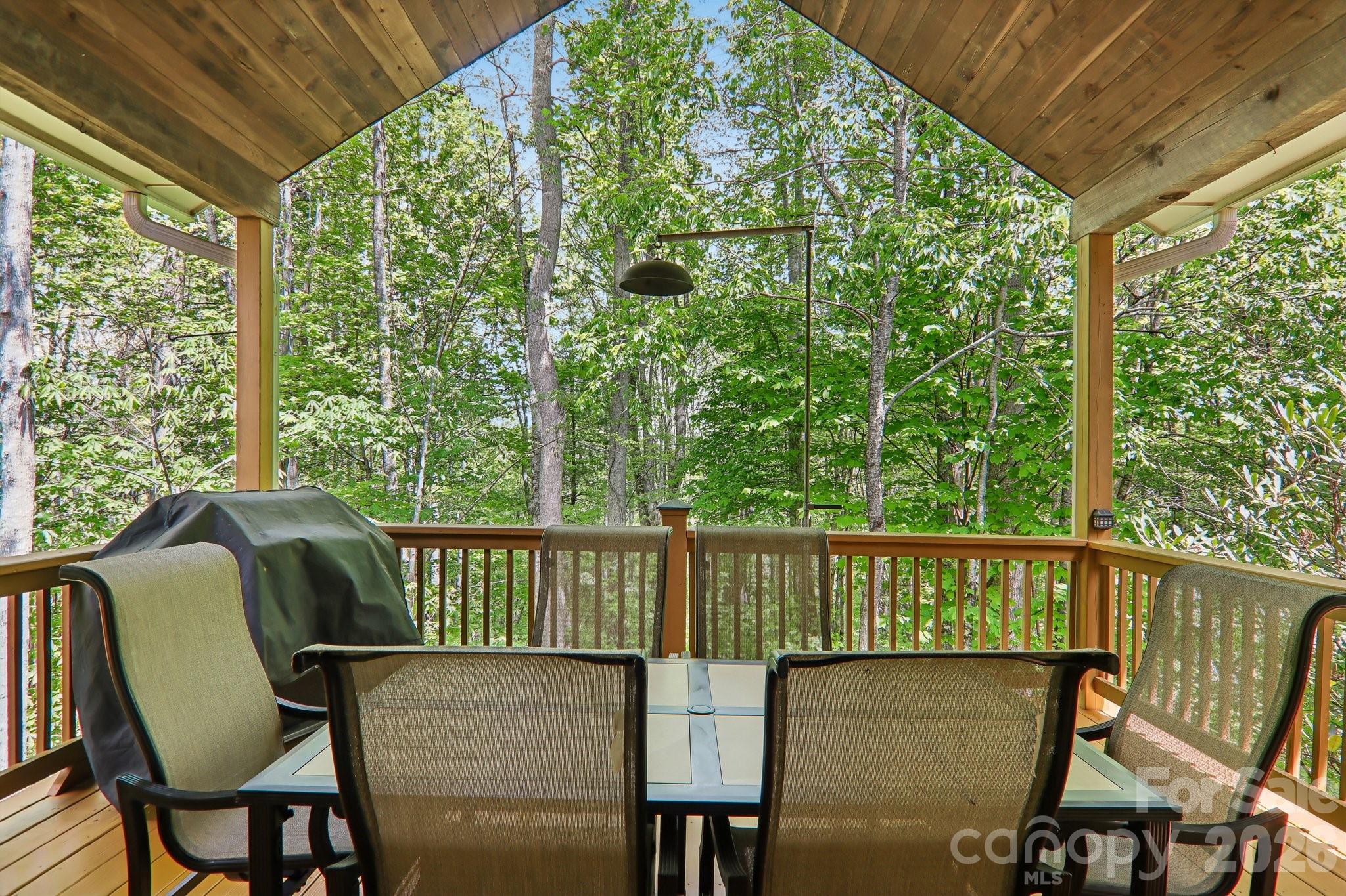 519 Susanna Cove Road #8 — Mars Hill