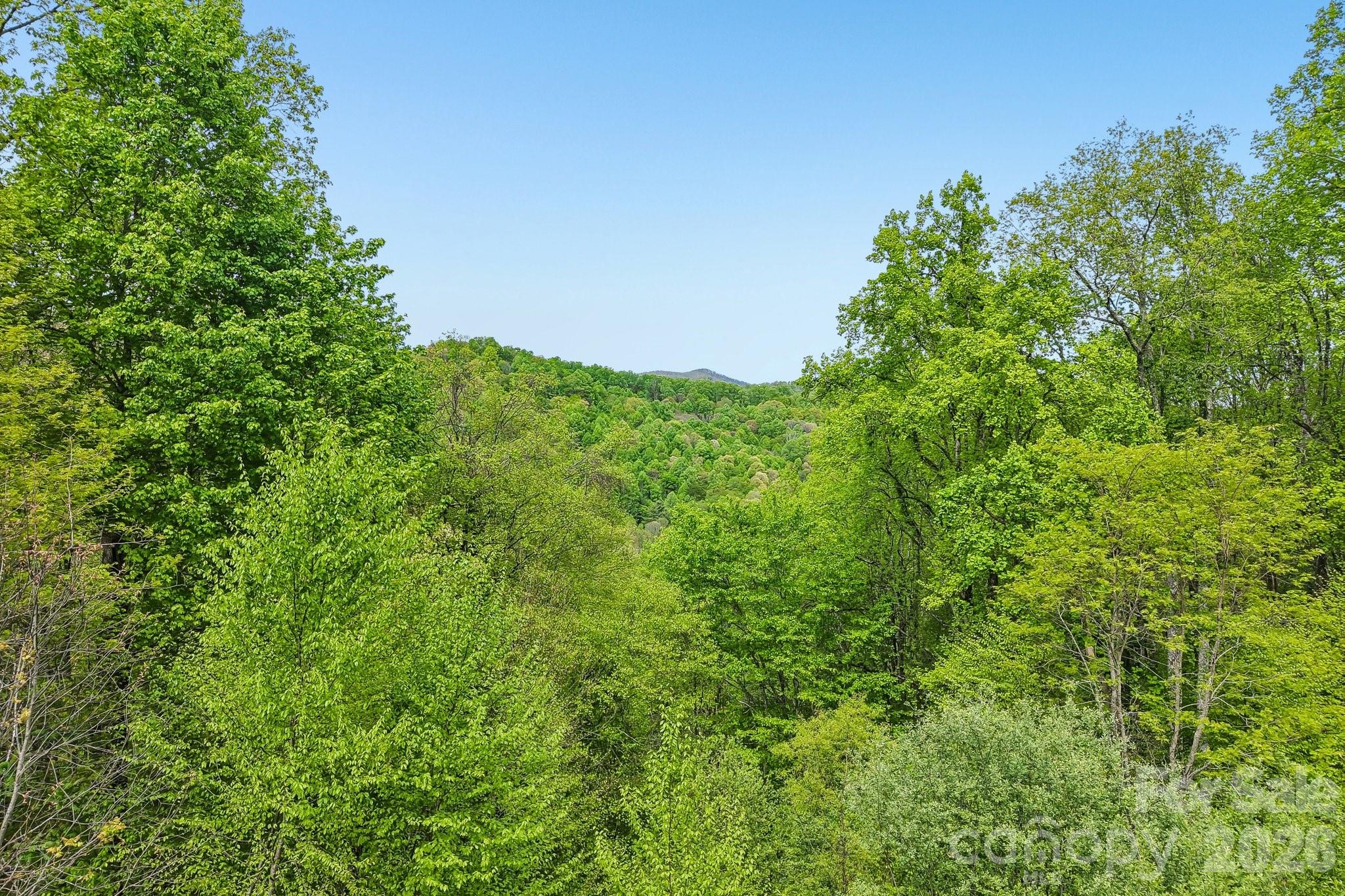 519 Susanna Cove Road #8 — Mars Hill