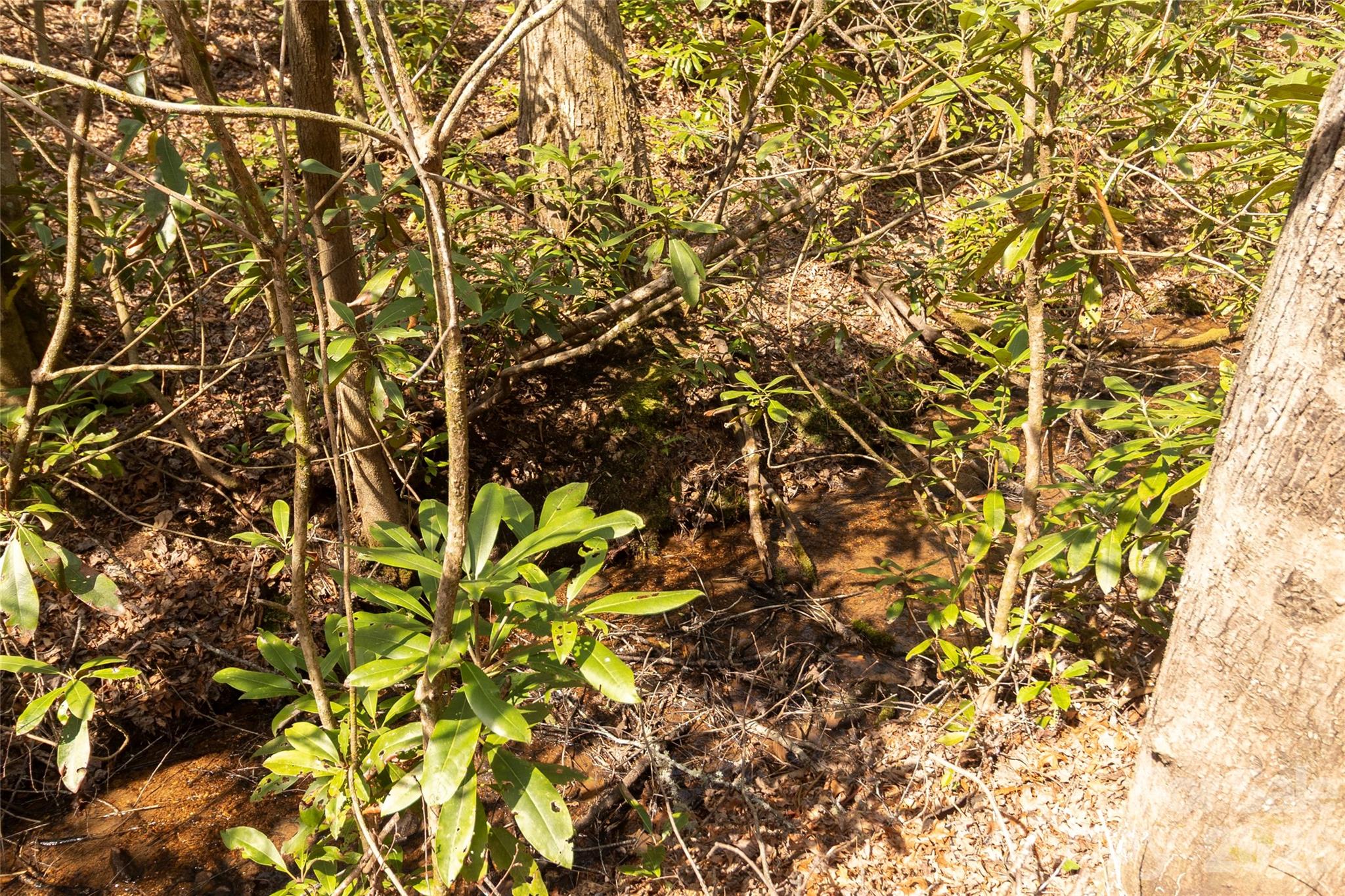 106 Cabin Creek Road — Sylva
