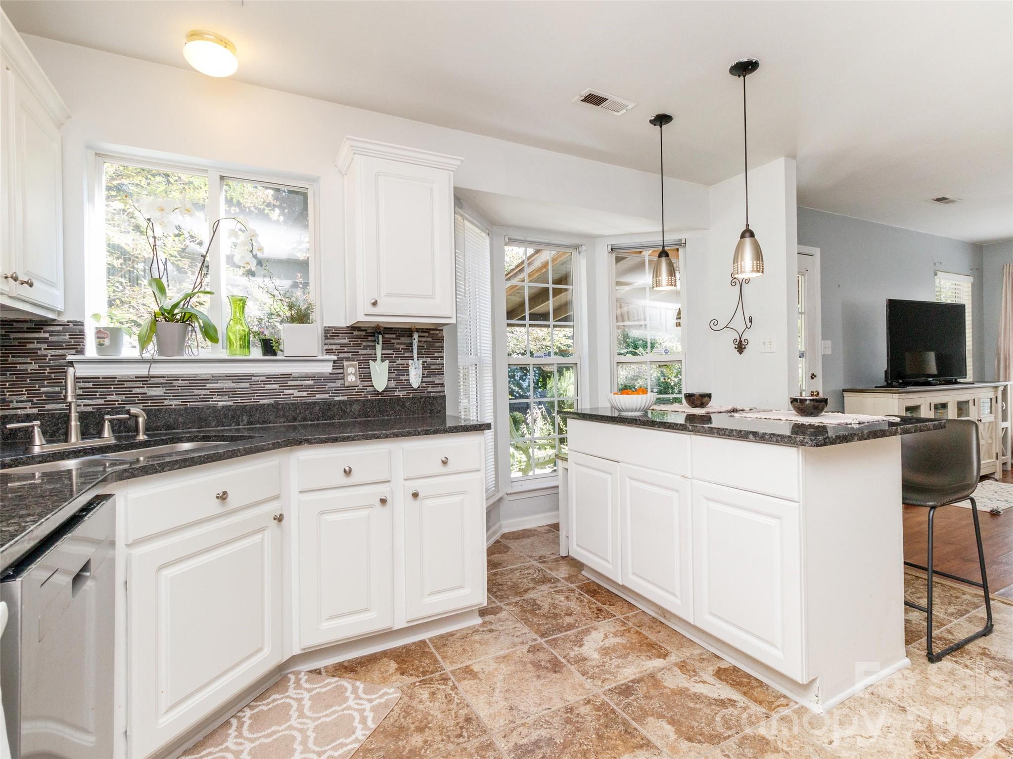 9901 Sweet Plum Drive — Charlotte