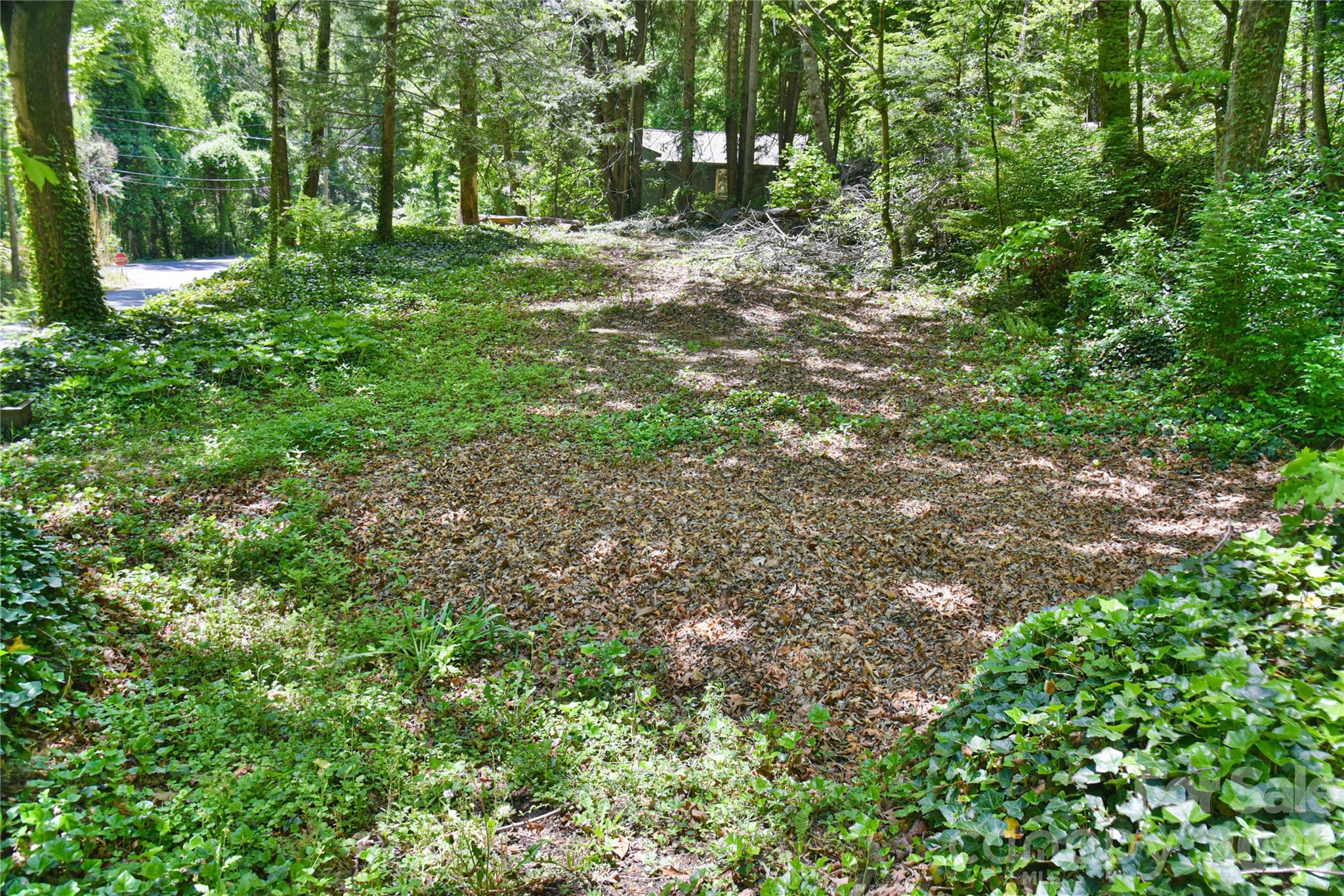 1 Hillcrest Lane — Black Mountain