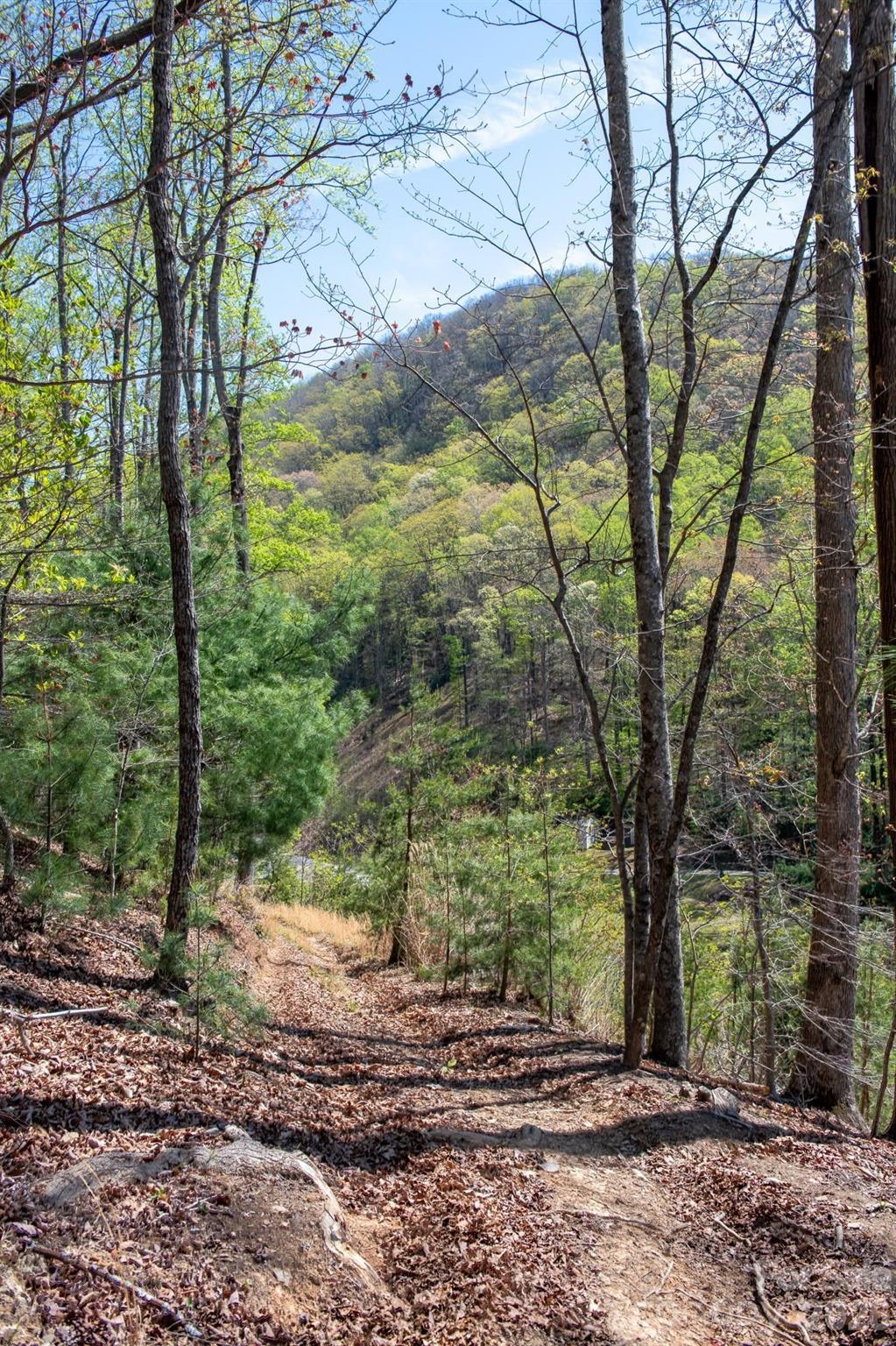 2687 Indian Grave Road — Lenoir