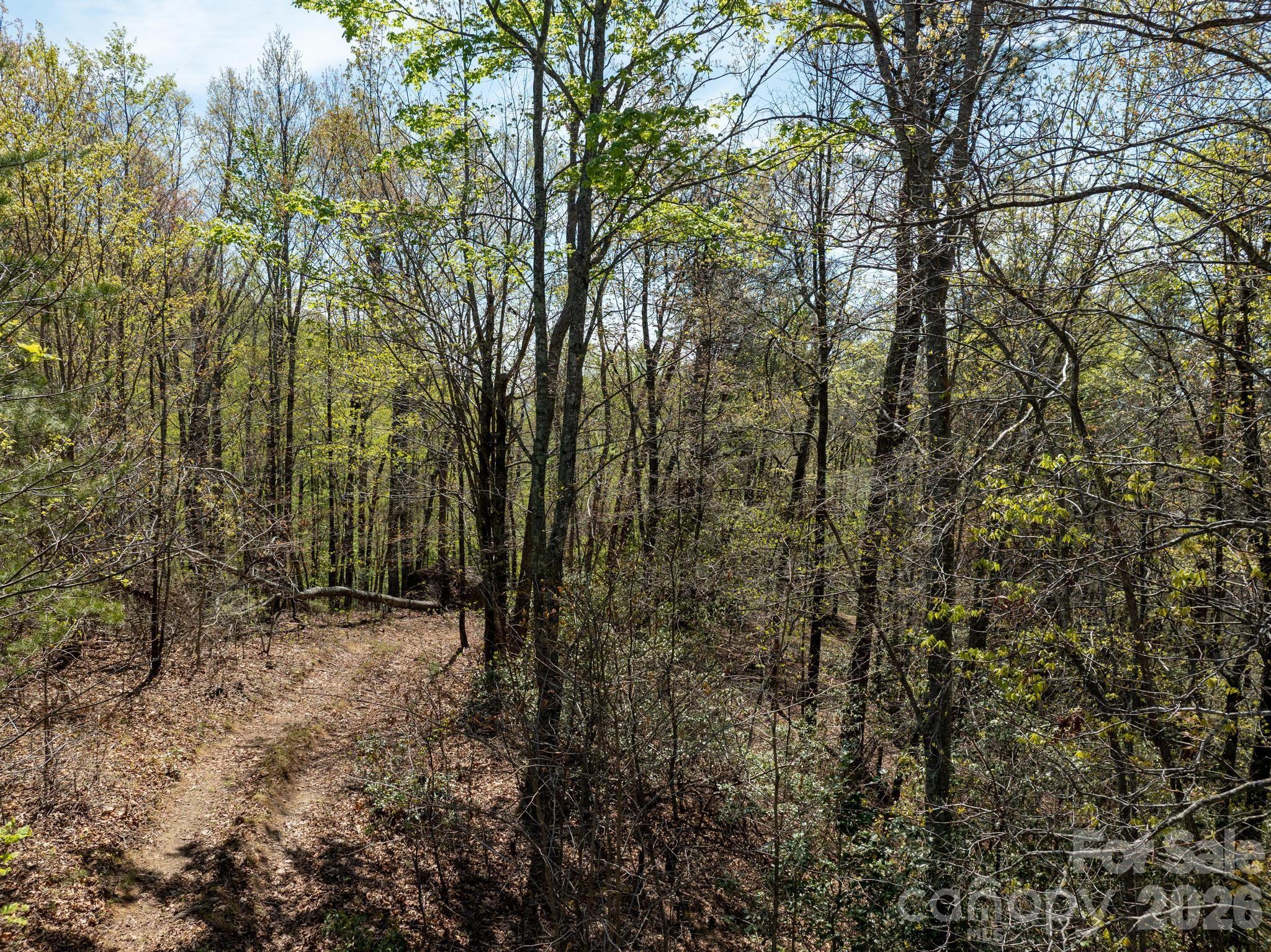 2687 Indian Grave Road — Lenoir