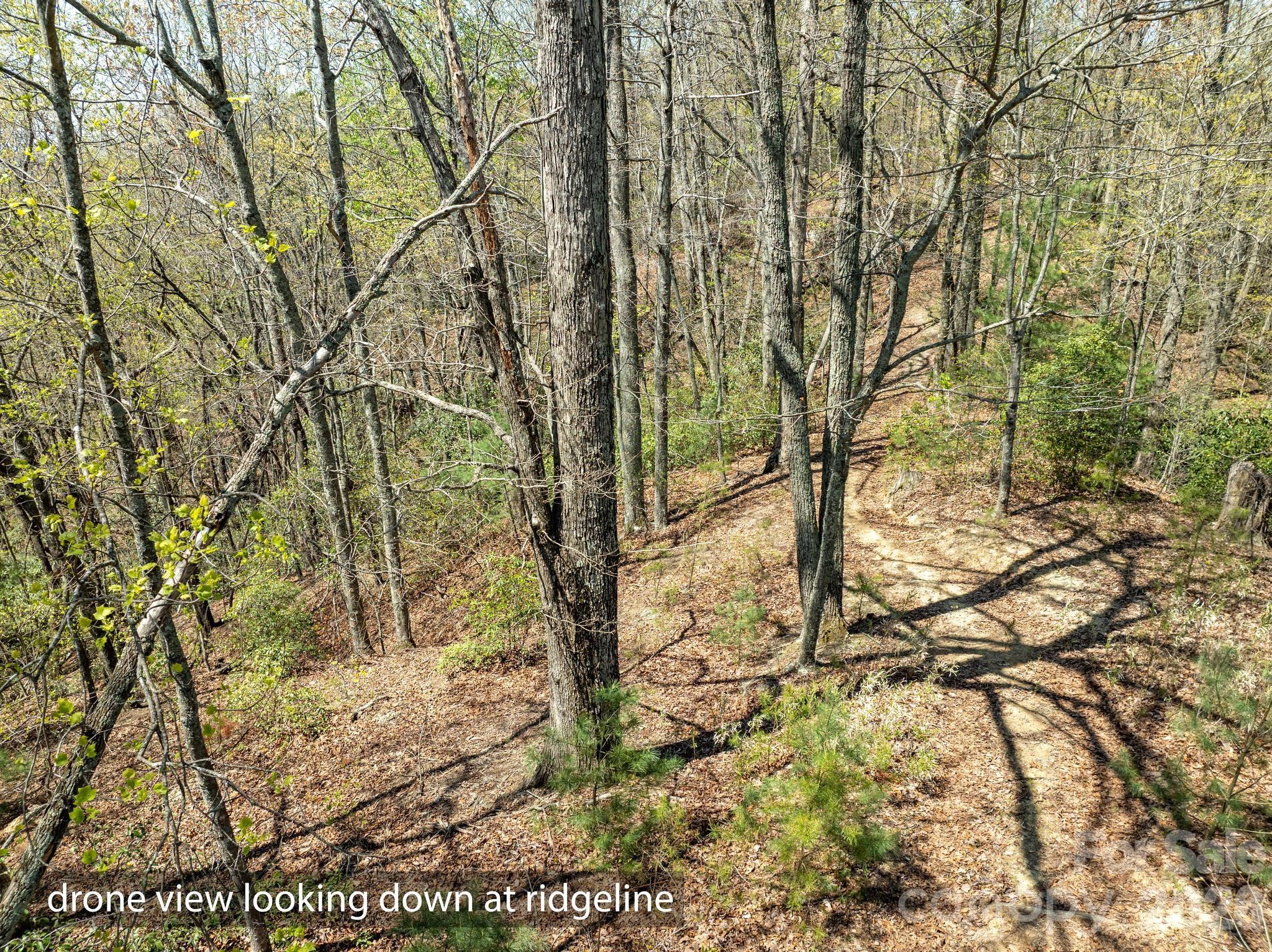 2687 Indian Grave Road — Lenoir