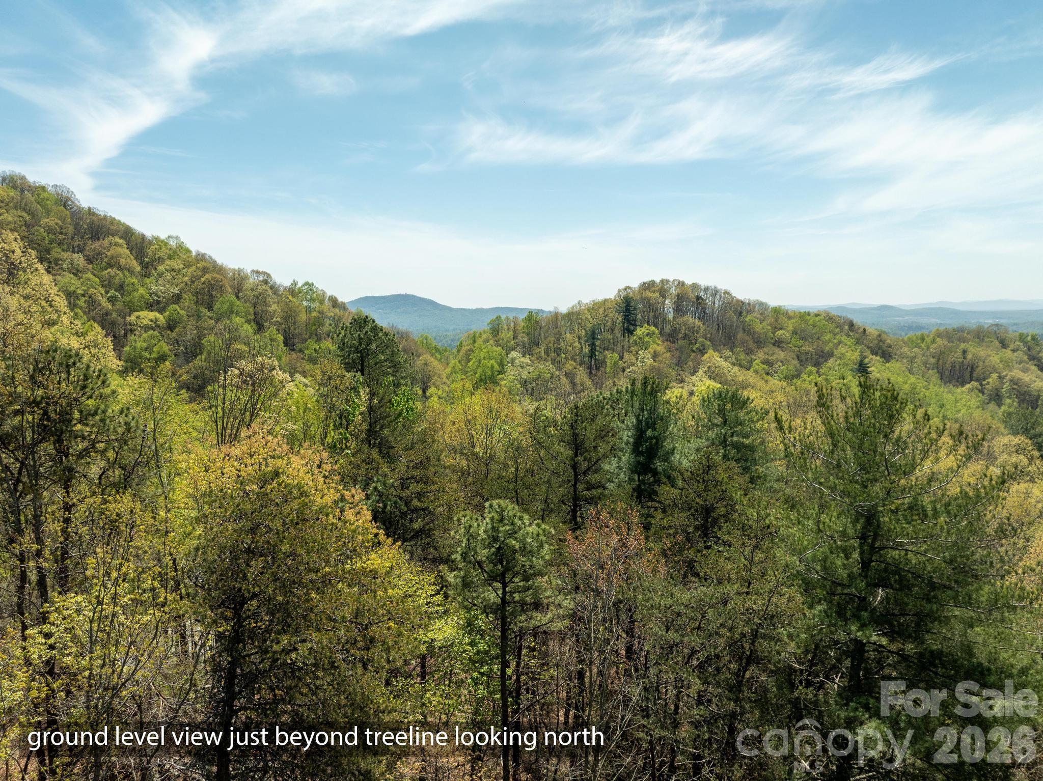 2687 Indian Grave Road — Lenoir