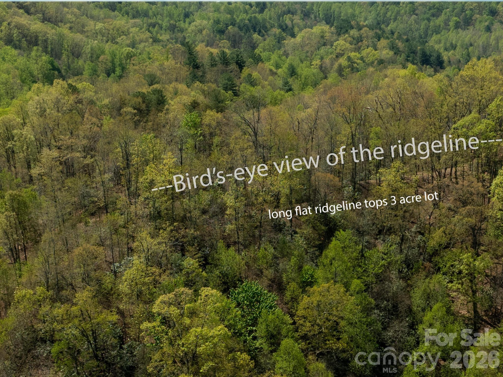 2687 Indian Grave Road — Lenoir