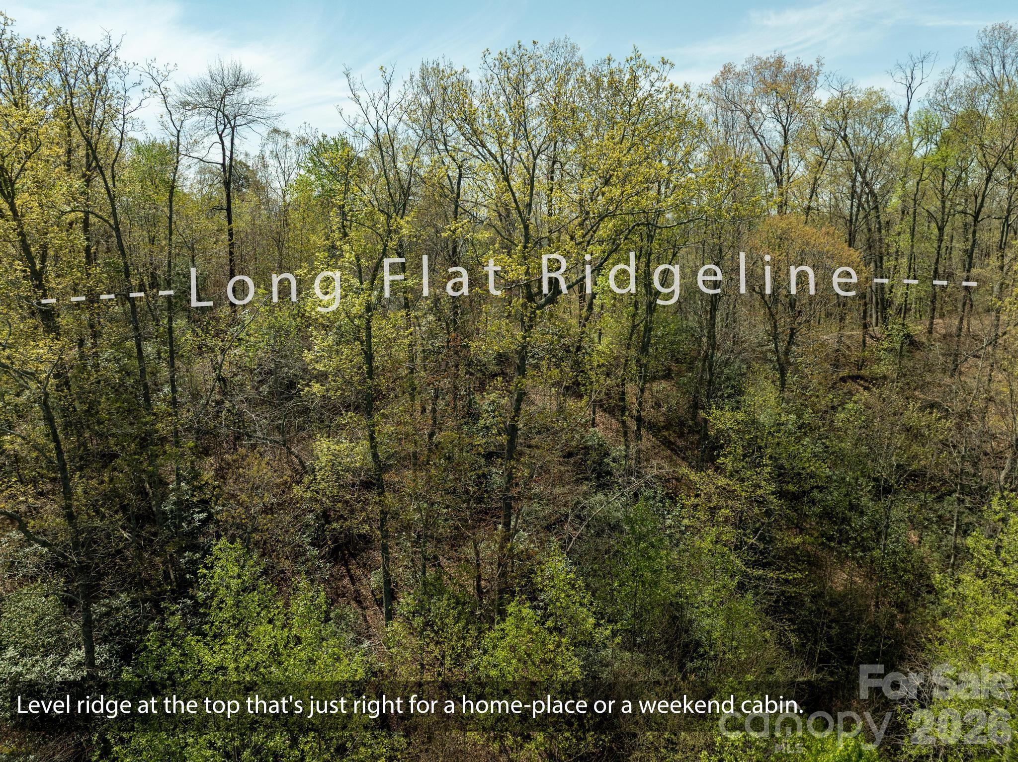 2687 Indian Grave Road — Lenoir