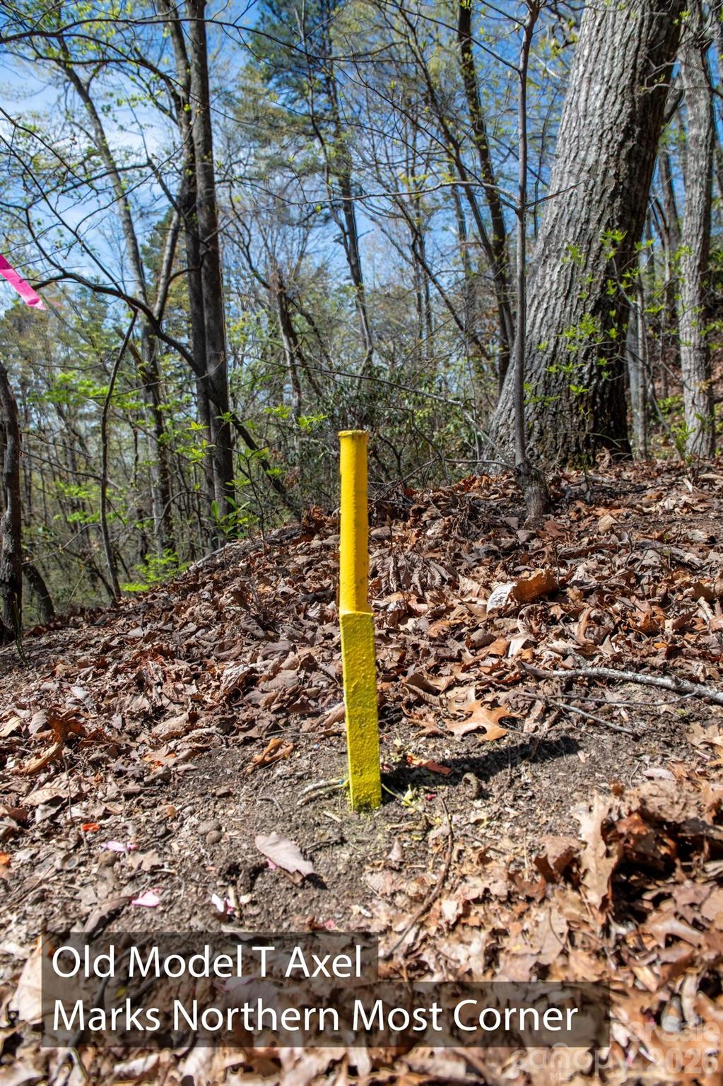 2687 Indian Grave Road — Lenoir