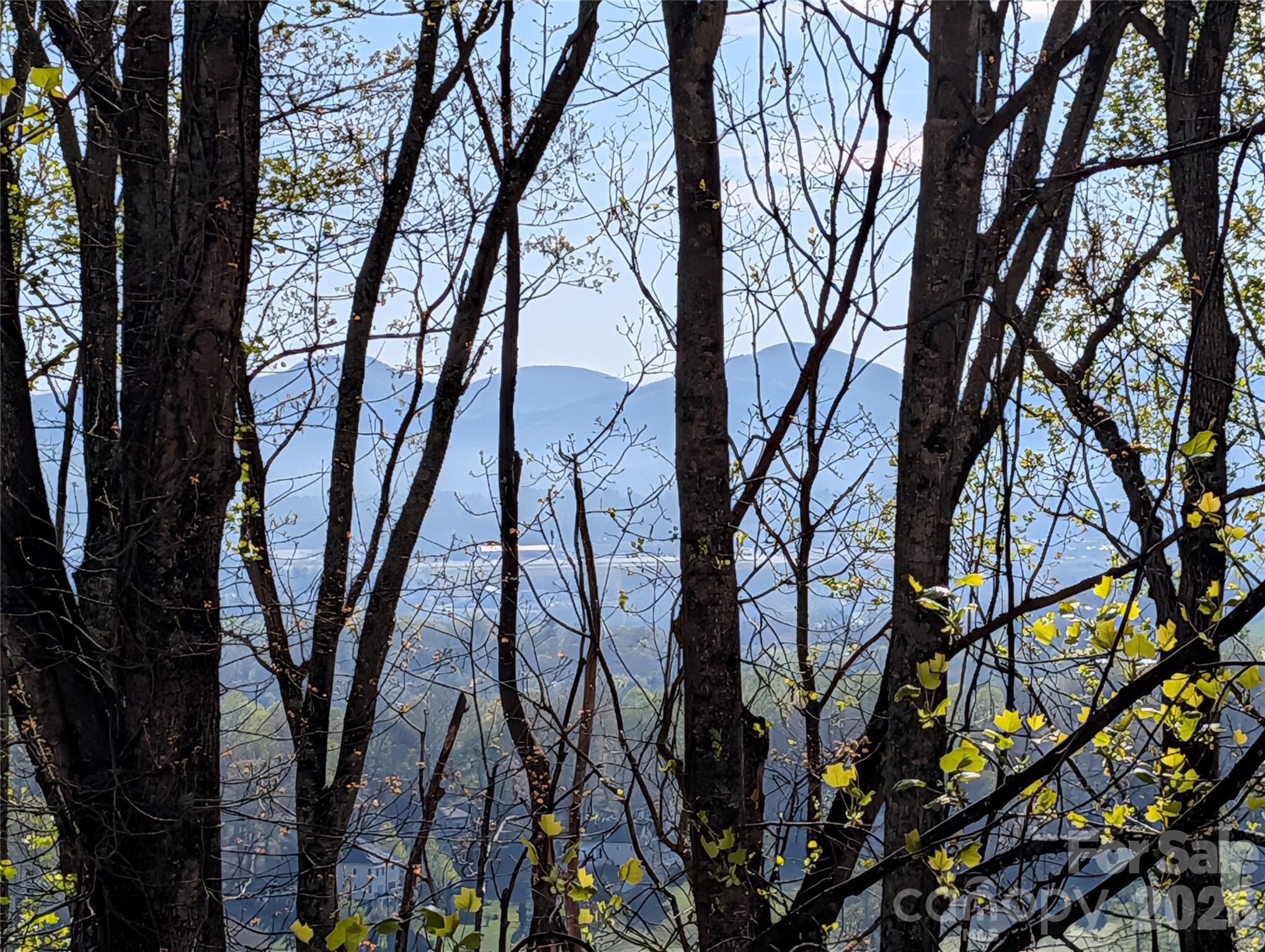 4 Wild Dogwood Trail — Mills River