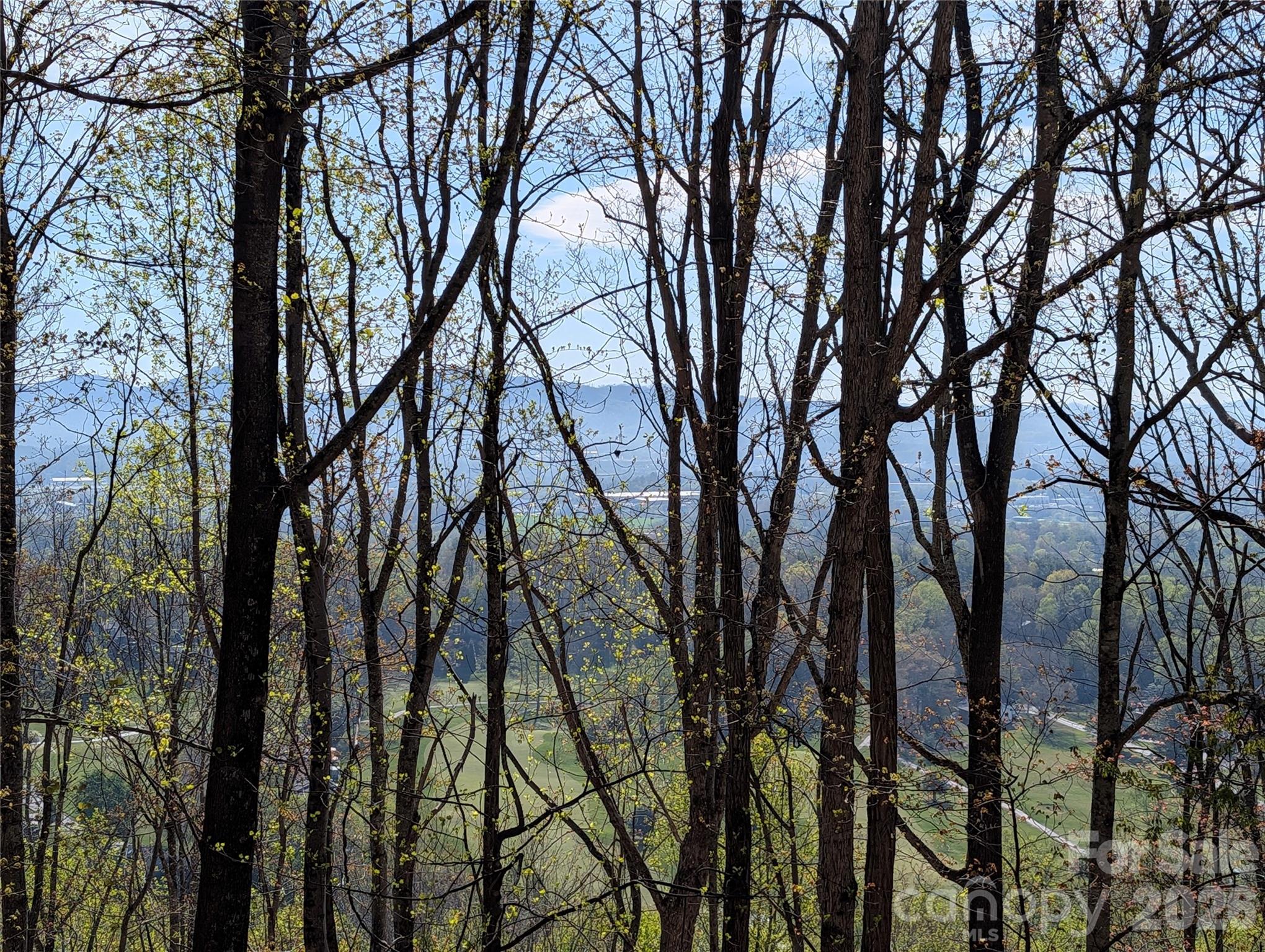 4 Wild Dogwood Trail — Mills River