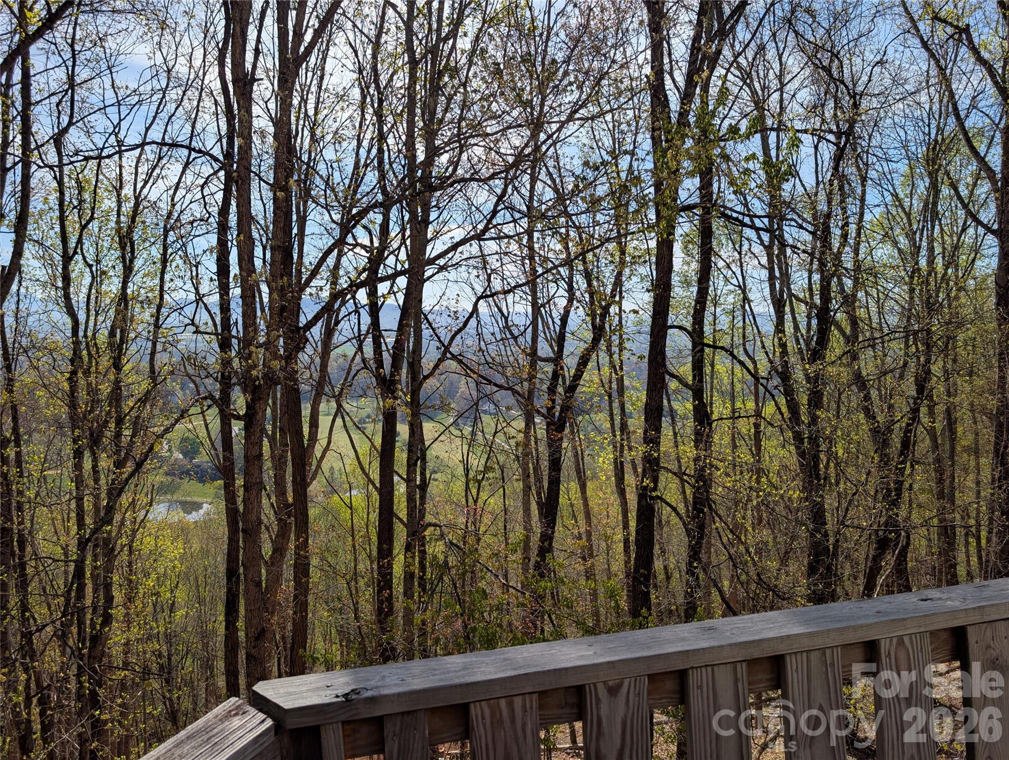 4 Wild Dogwood Trail — Mills River