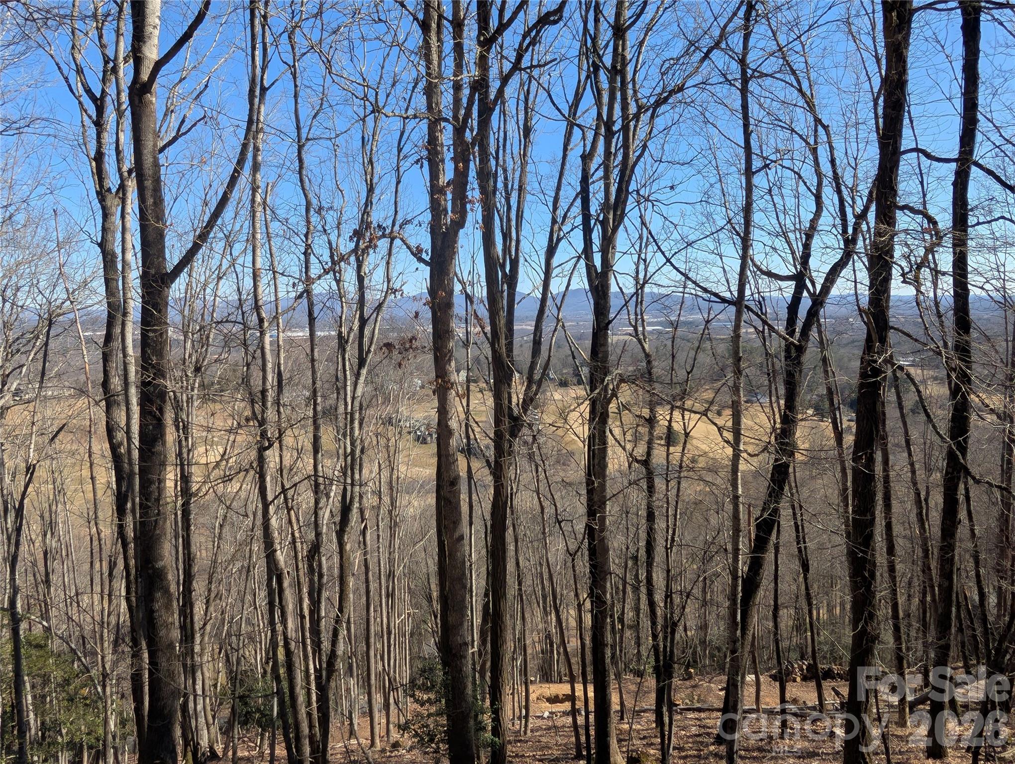 4 Wild Dogwood Trail — Mills River