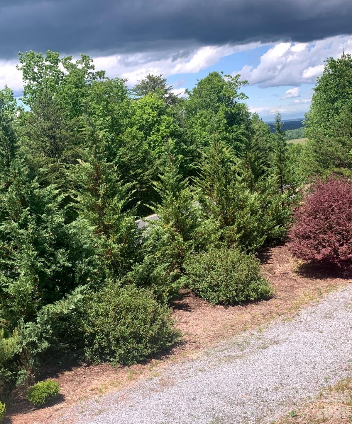 453 Grandview Peaks Drive — Nebo